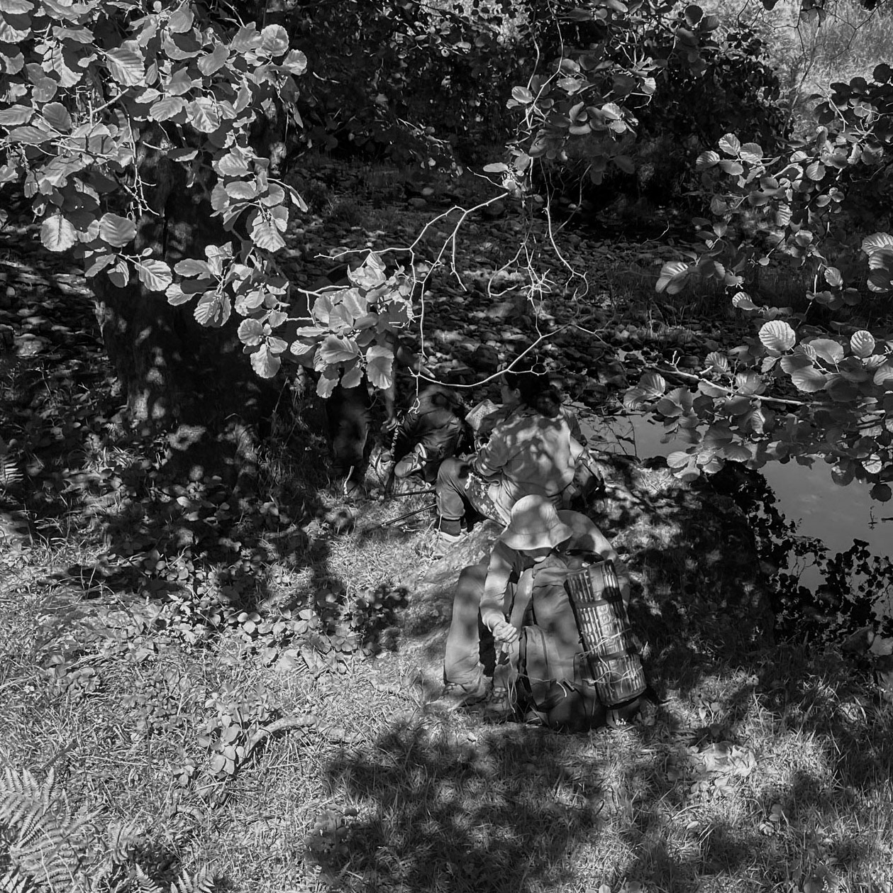 Ezili forest: becoming tired