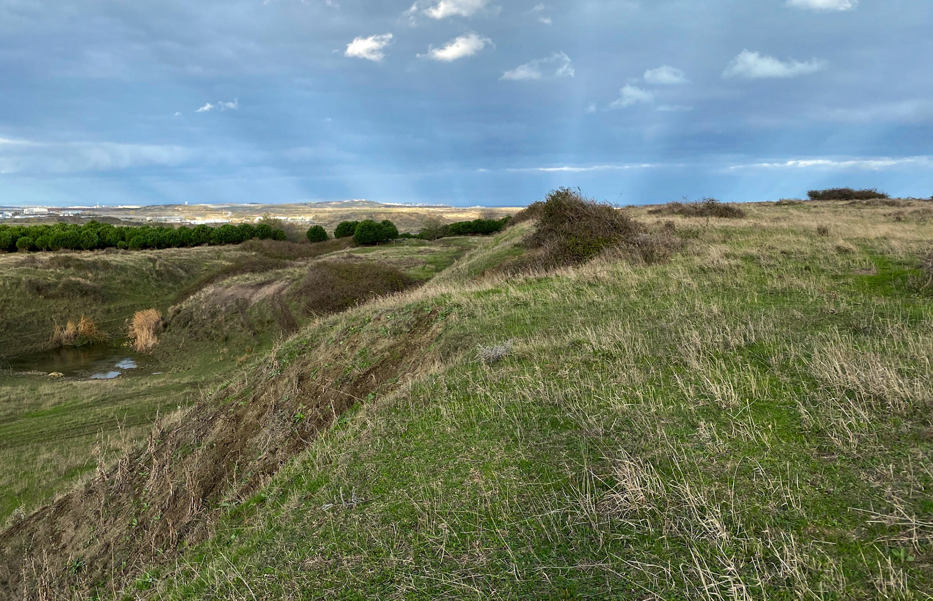 heading west from Akpınar: former mining land, now poor pasture