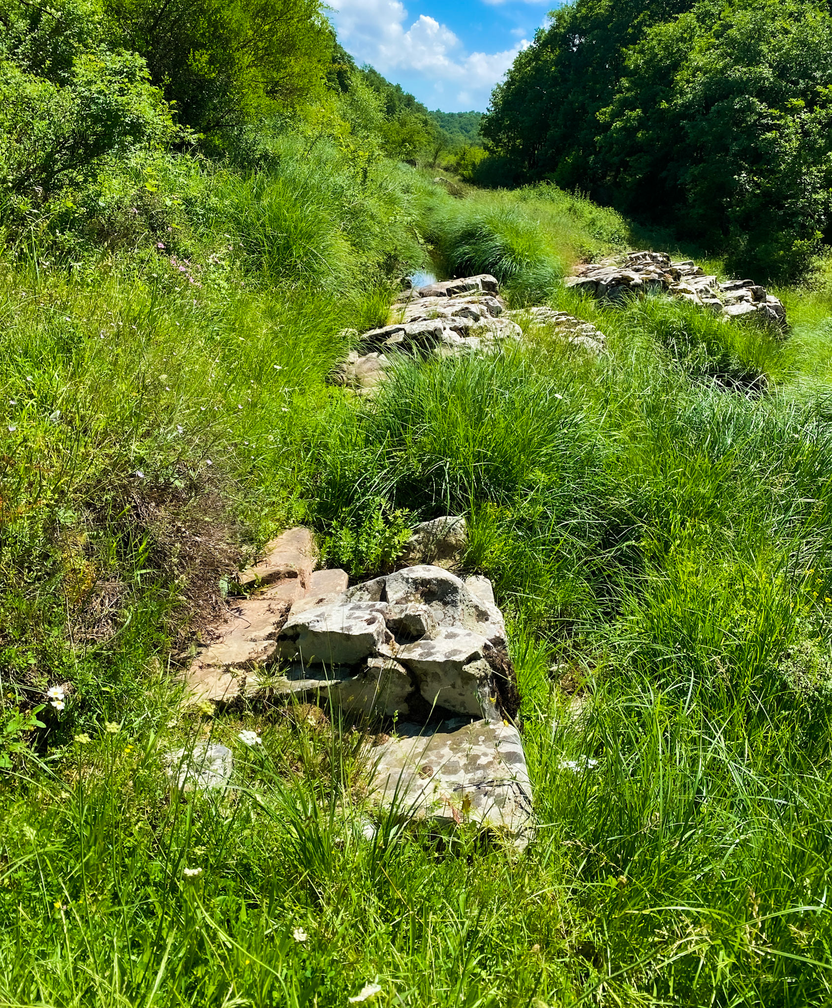 Sığırlık gorge: view