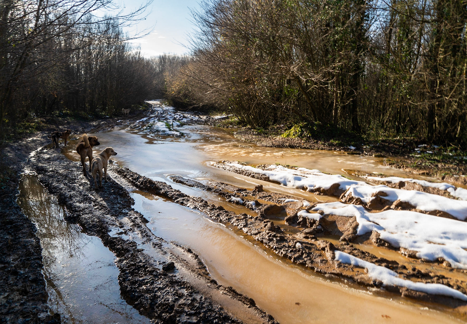 between Cumhuriyet and Polonezköy: wet and icy track