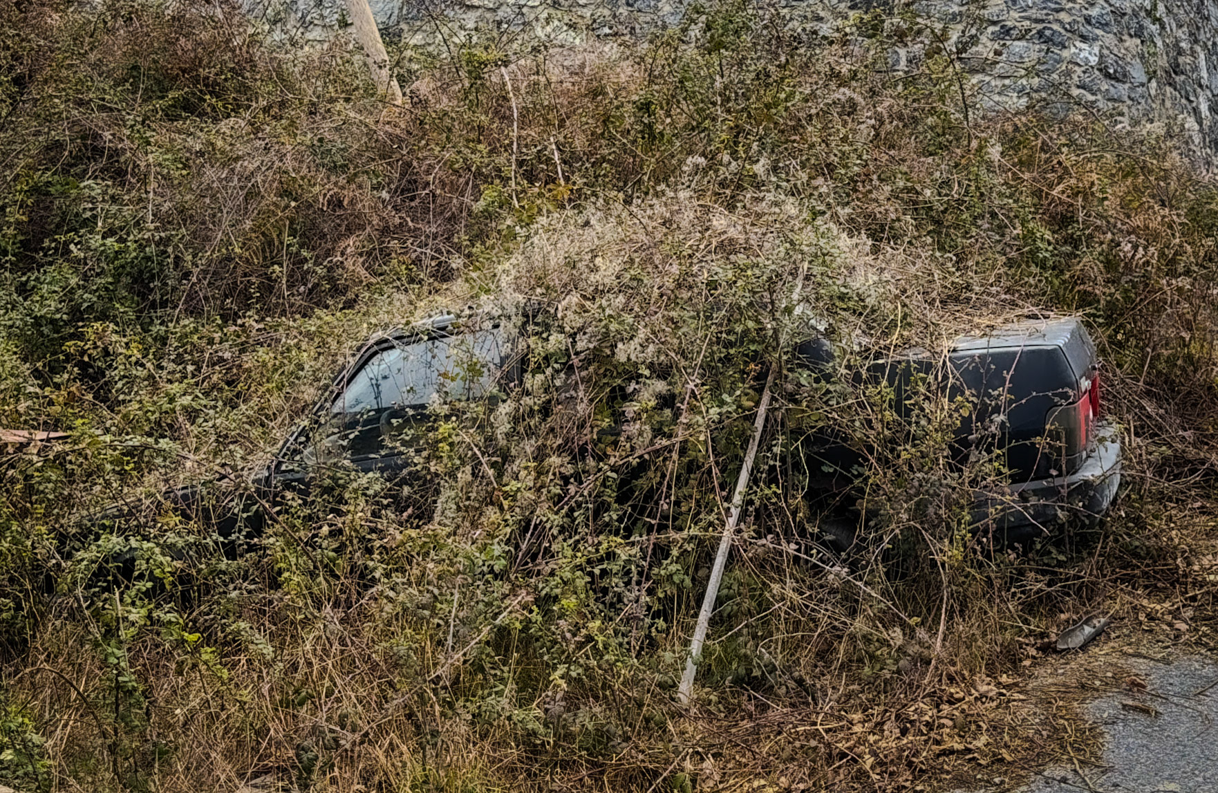 between Dolap stream descent and Cenapler wood: slightly used car