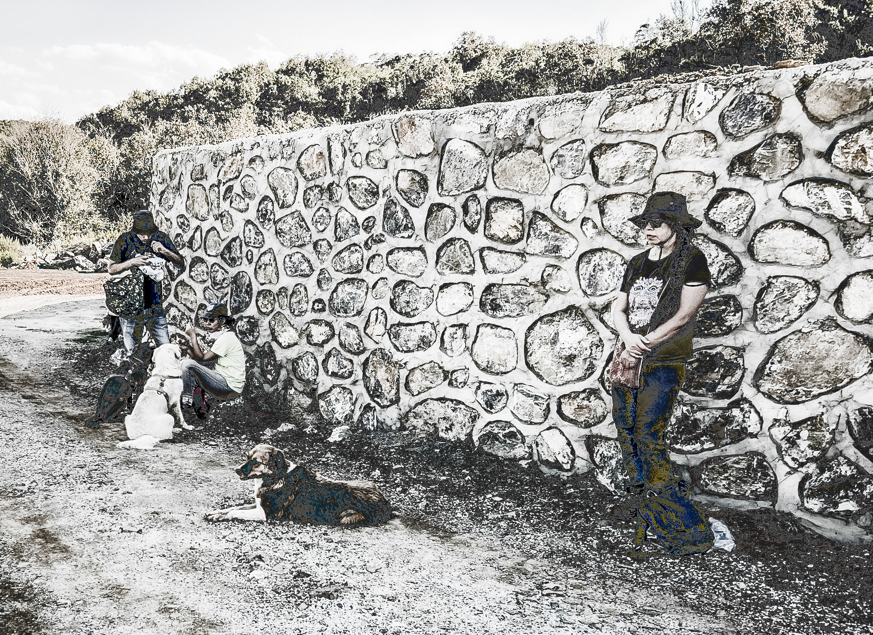 heading west along the line of the Black Sea: a rest stop by a wall with the dogs