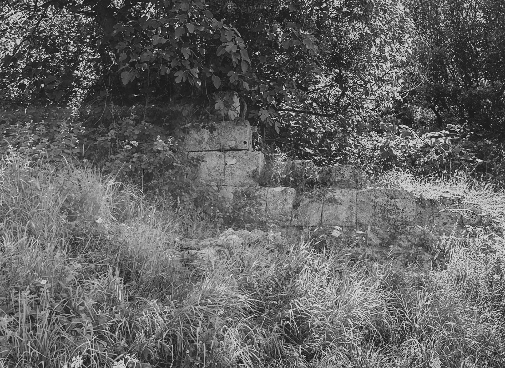Şamlar Ottoman dam:  aqueduct remnant