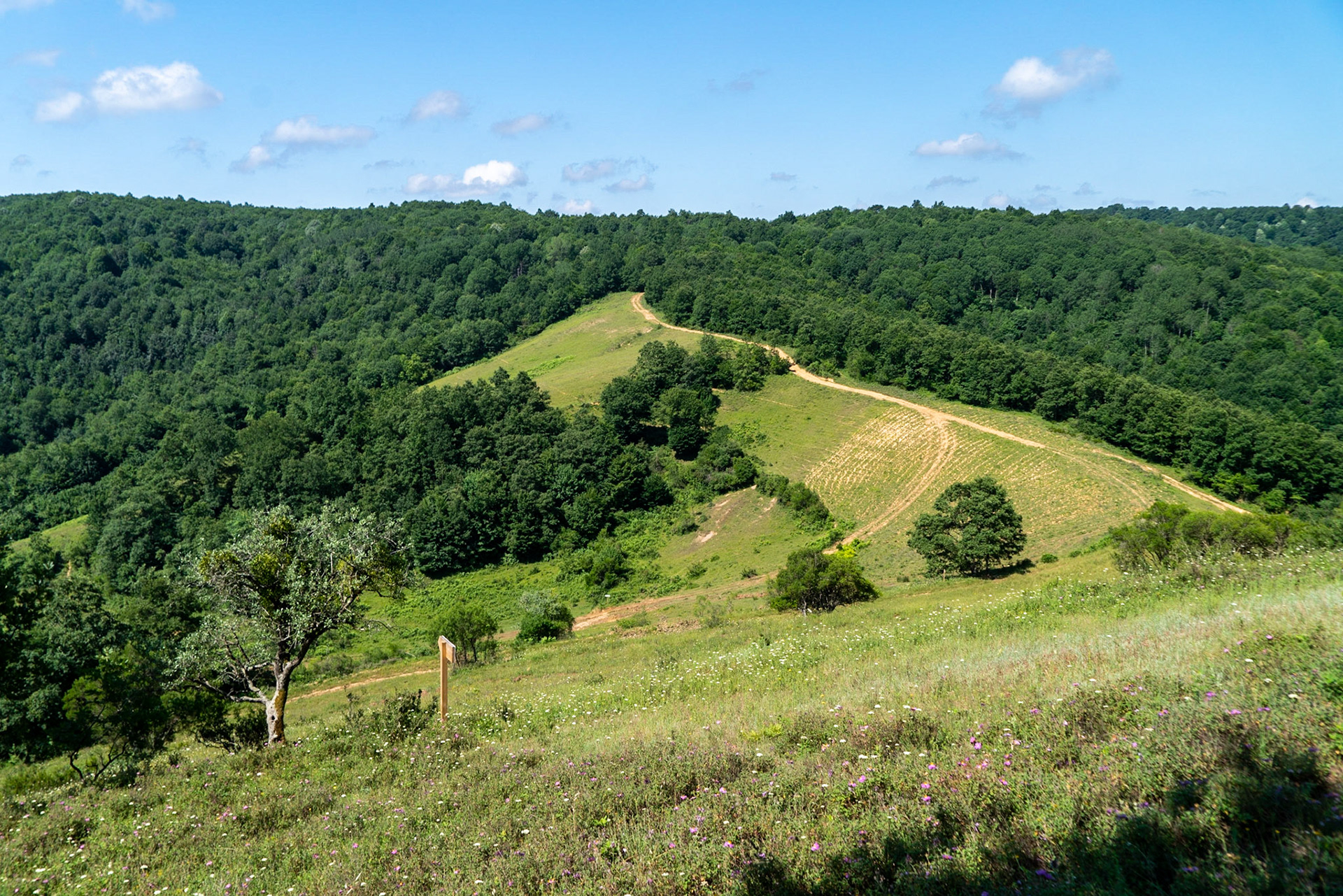 Sarıkavak hill: landscape east