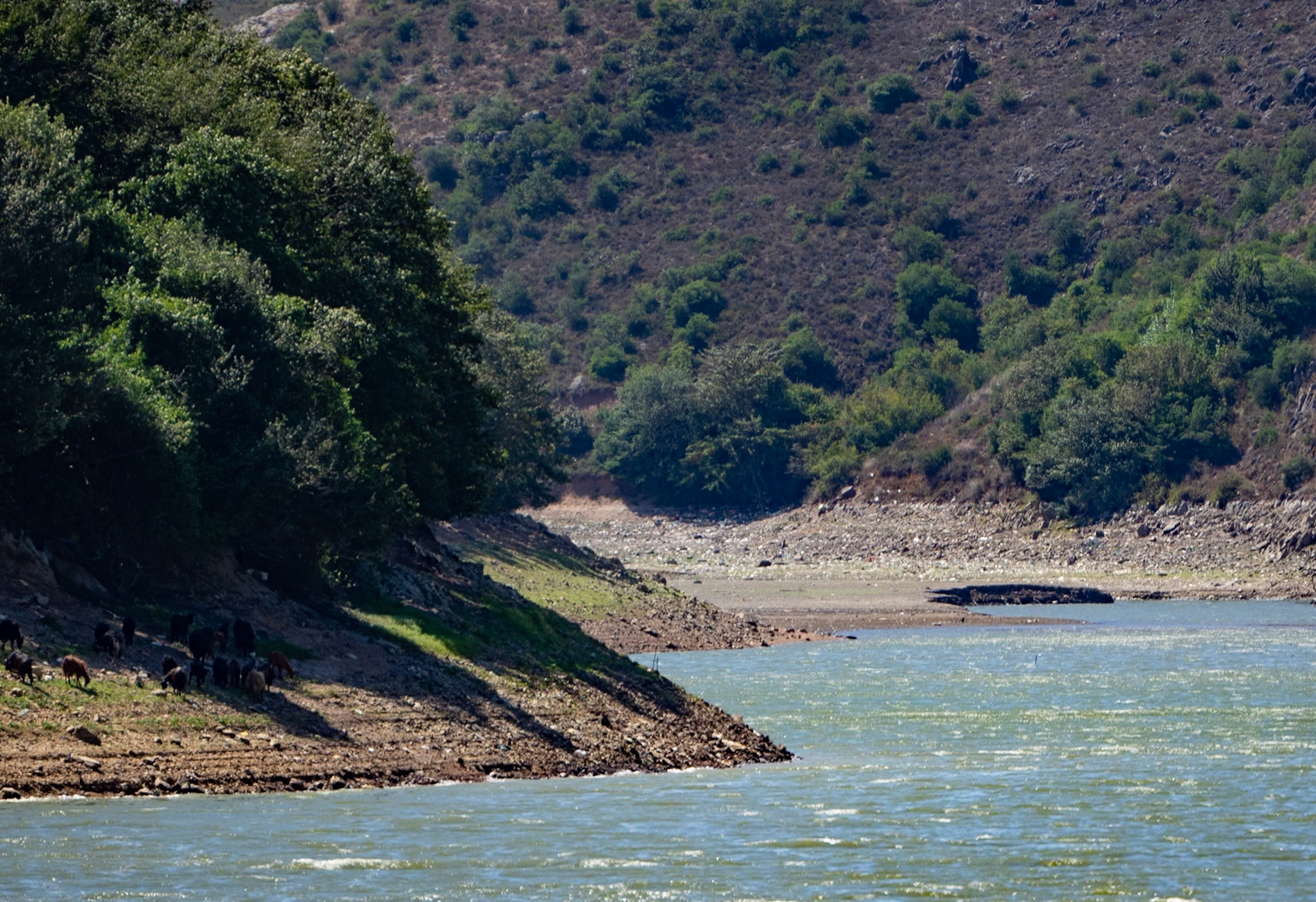 Paşaköy gorge: shore walk
