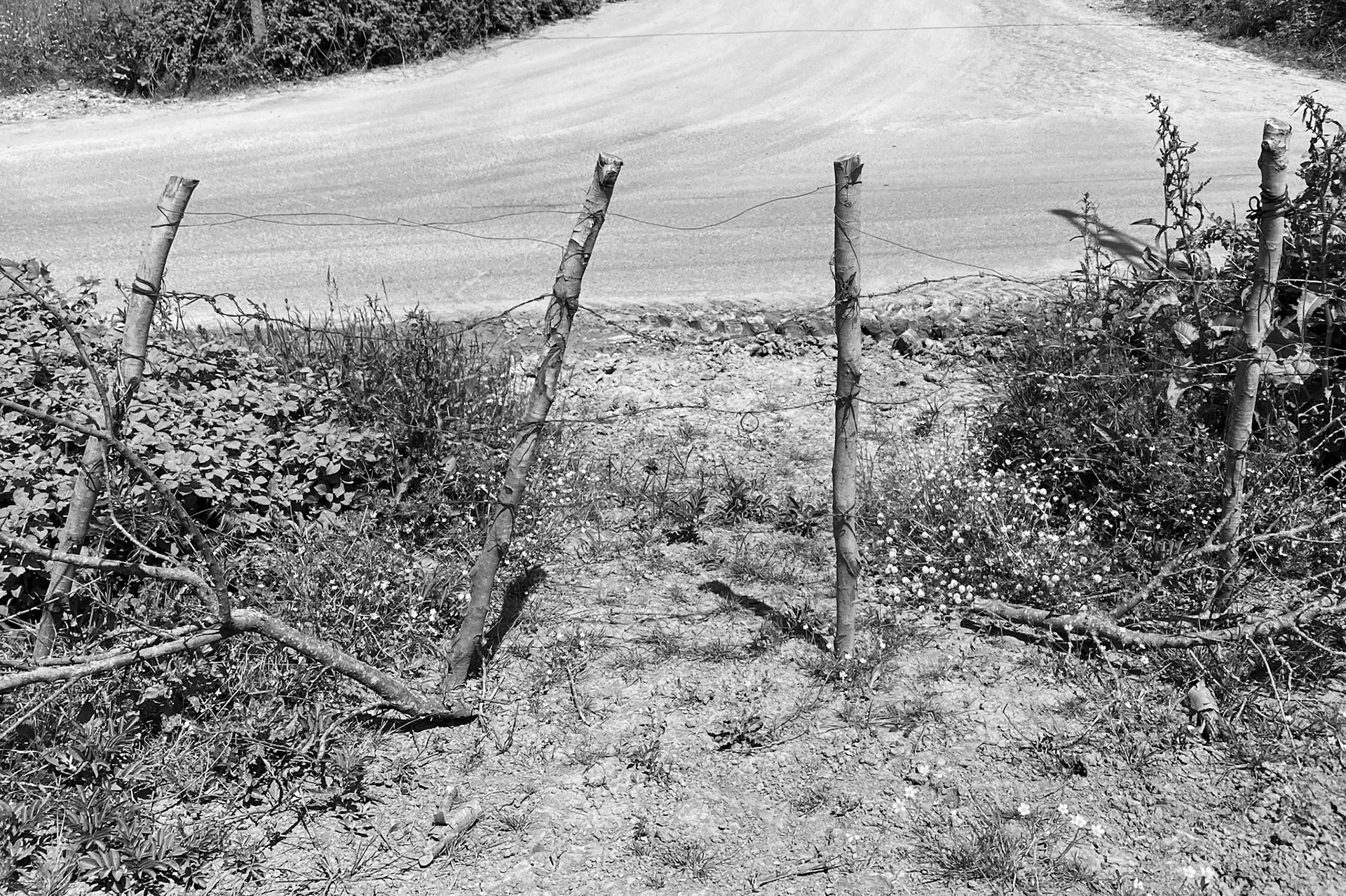 Yeniköy: fence