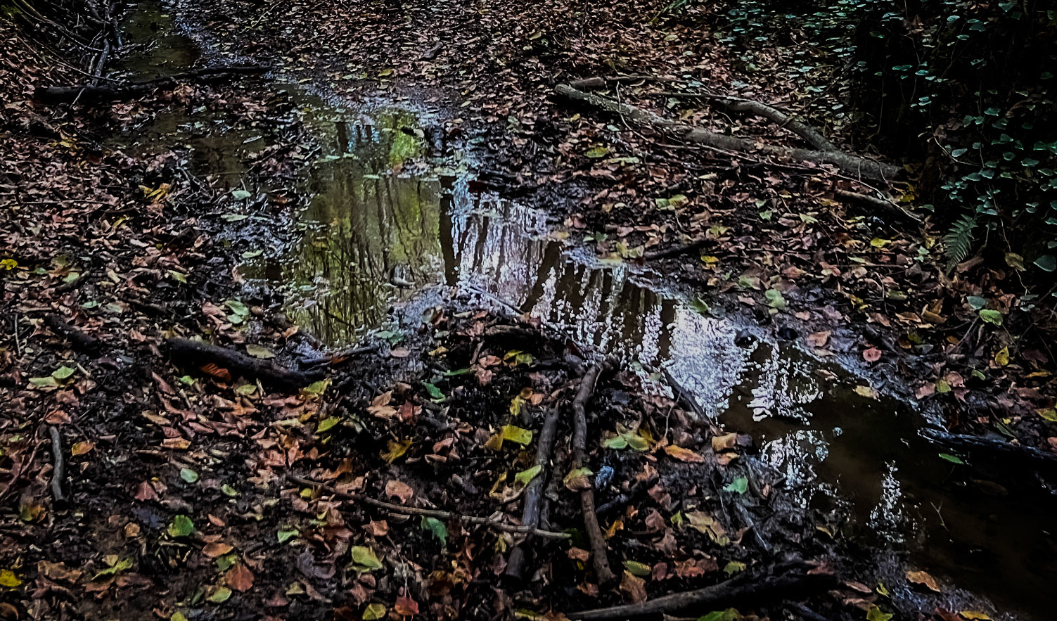 Zerzevat east streamwalk: reflectioms