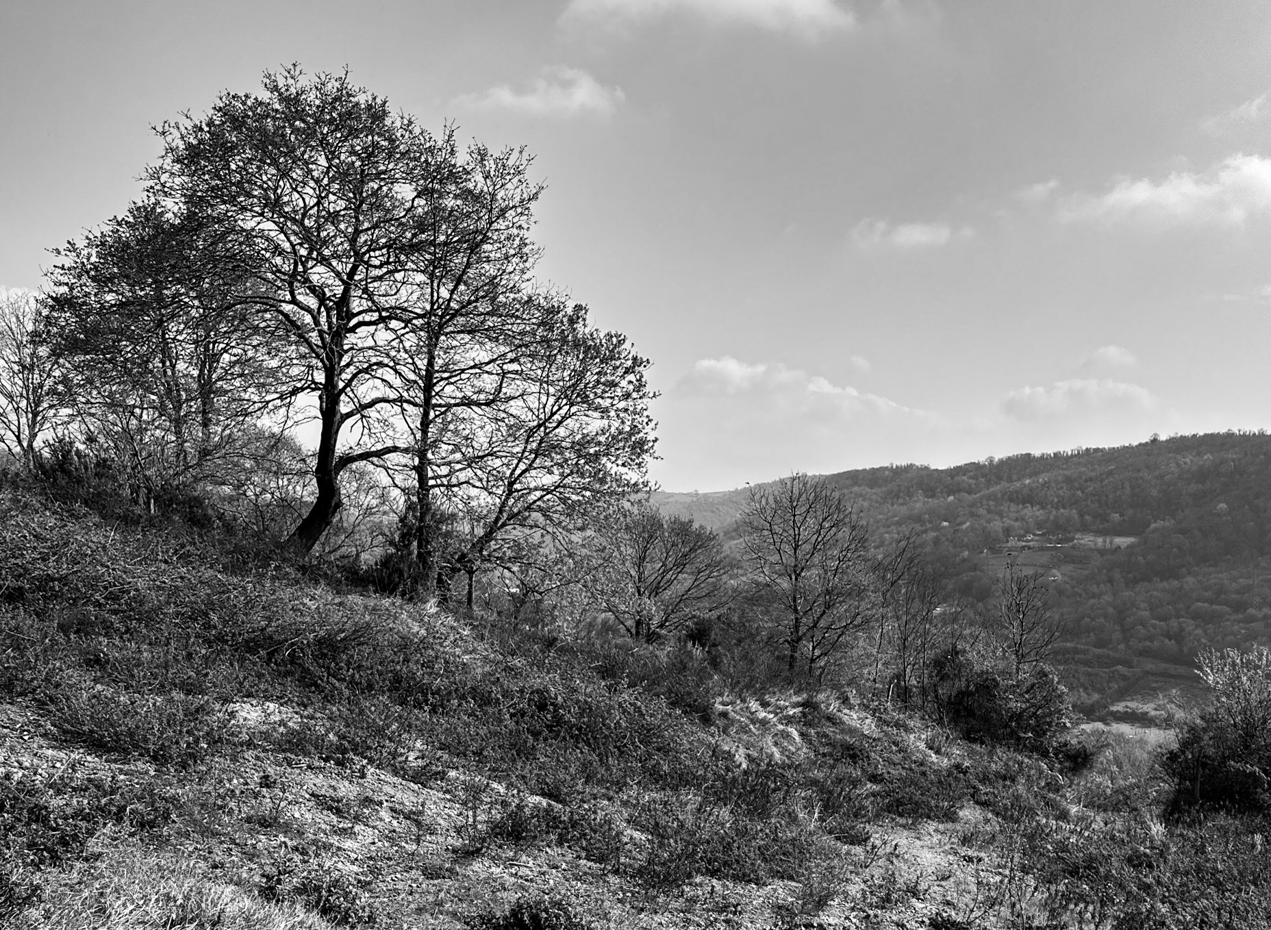 Mahmut Şevket Paşa north-western hill: view northeast