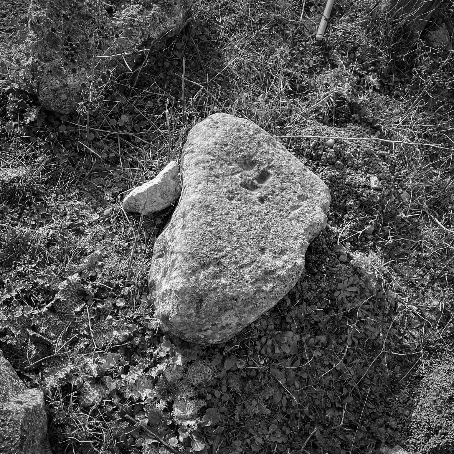 the site of Spradon: an ancient worked stone?