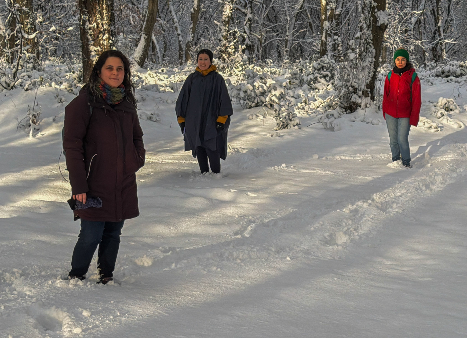 Neşet Suyu forest: sunlight and we