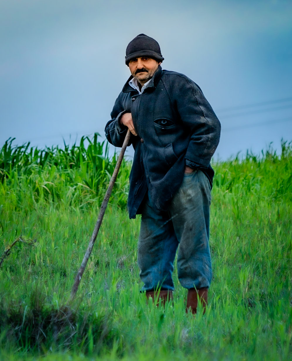 between Boyalık and Baklalı: cowherd