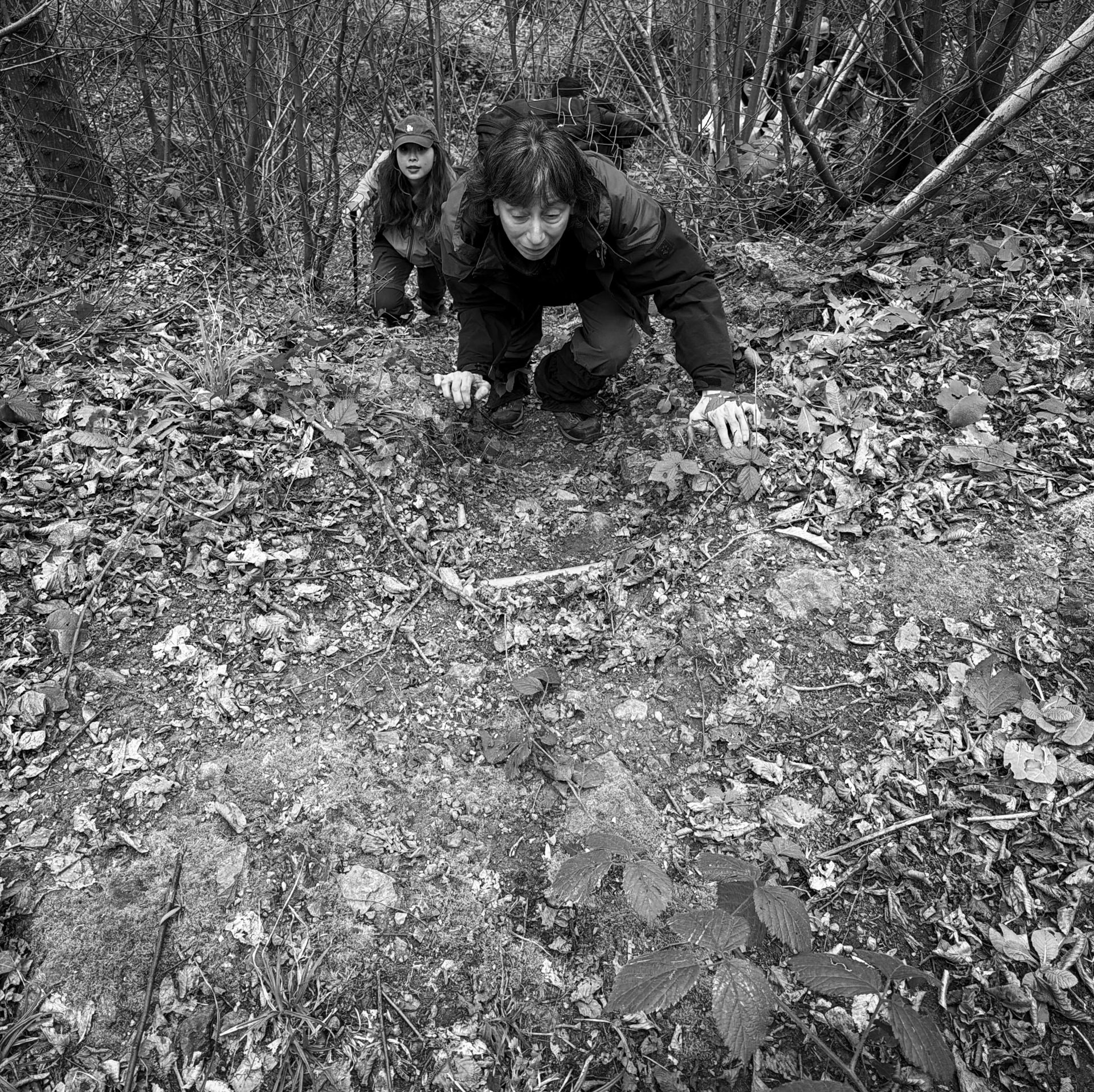 Kaymakdonduran wooded hill: ascending