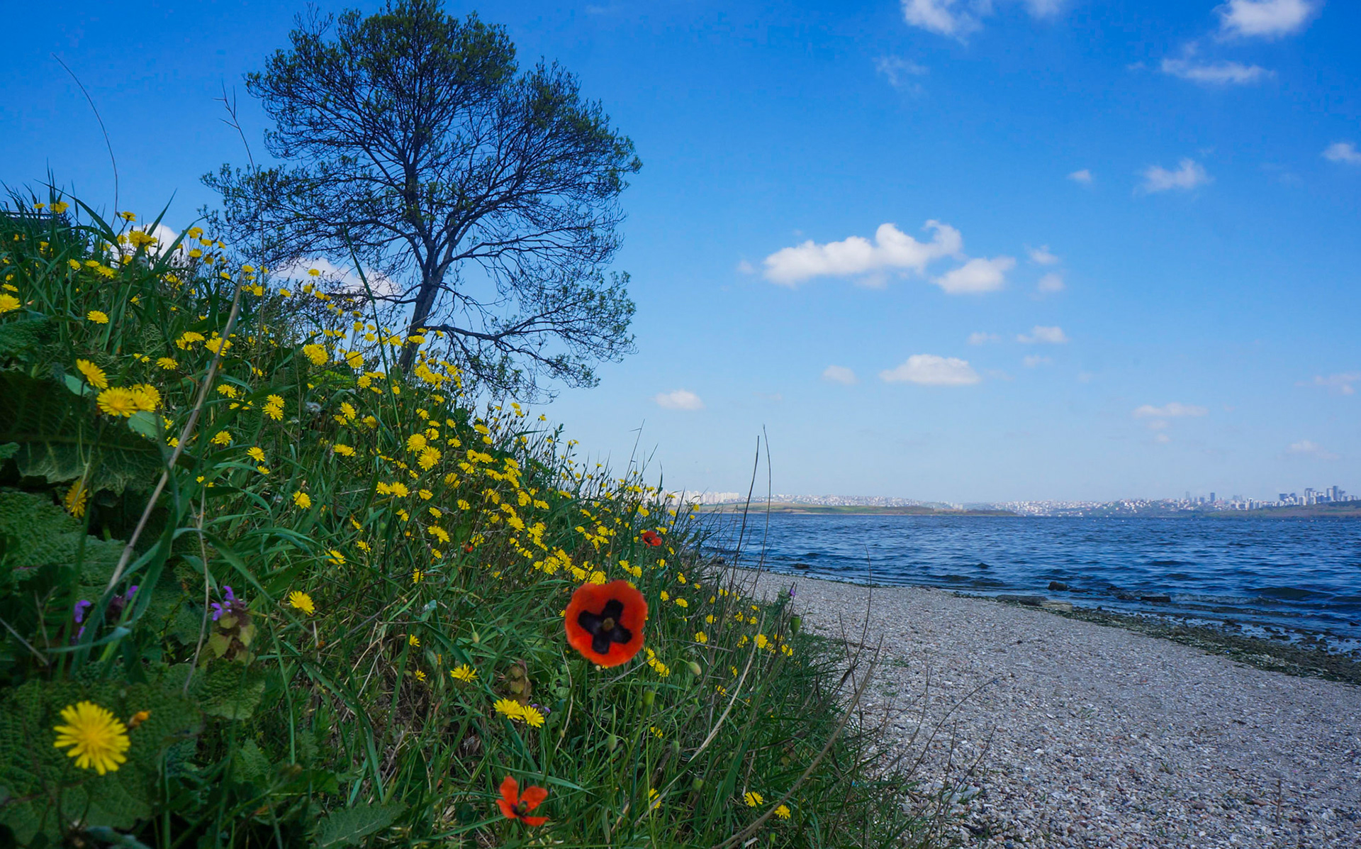 Küçükçekmece western lakeside: looking north towards Yarımburgaz