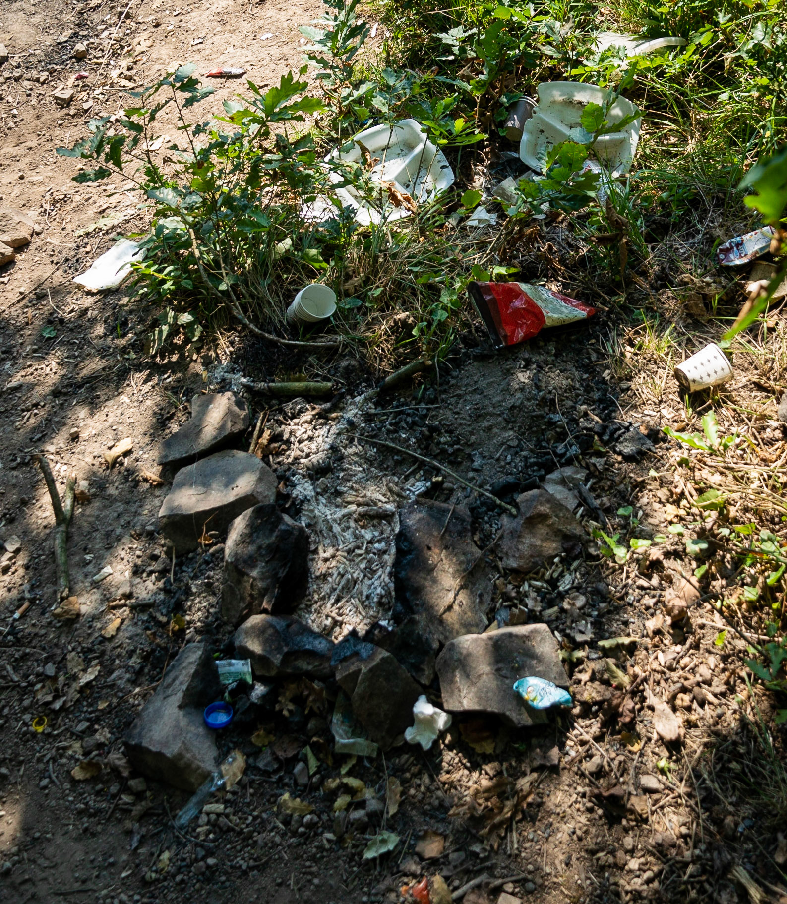 Kanlı forest: trash