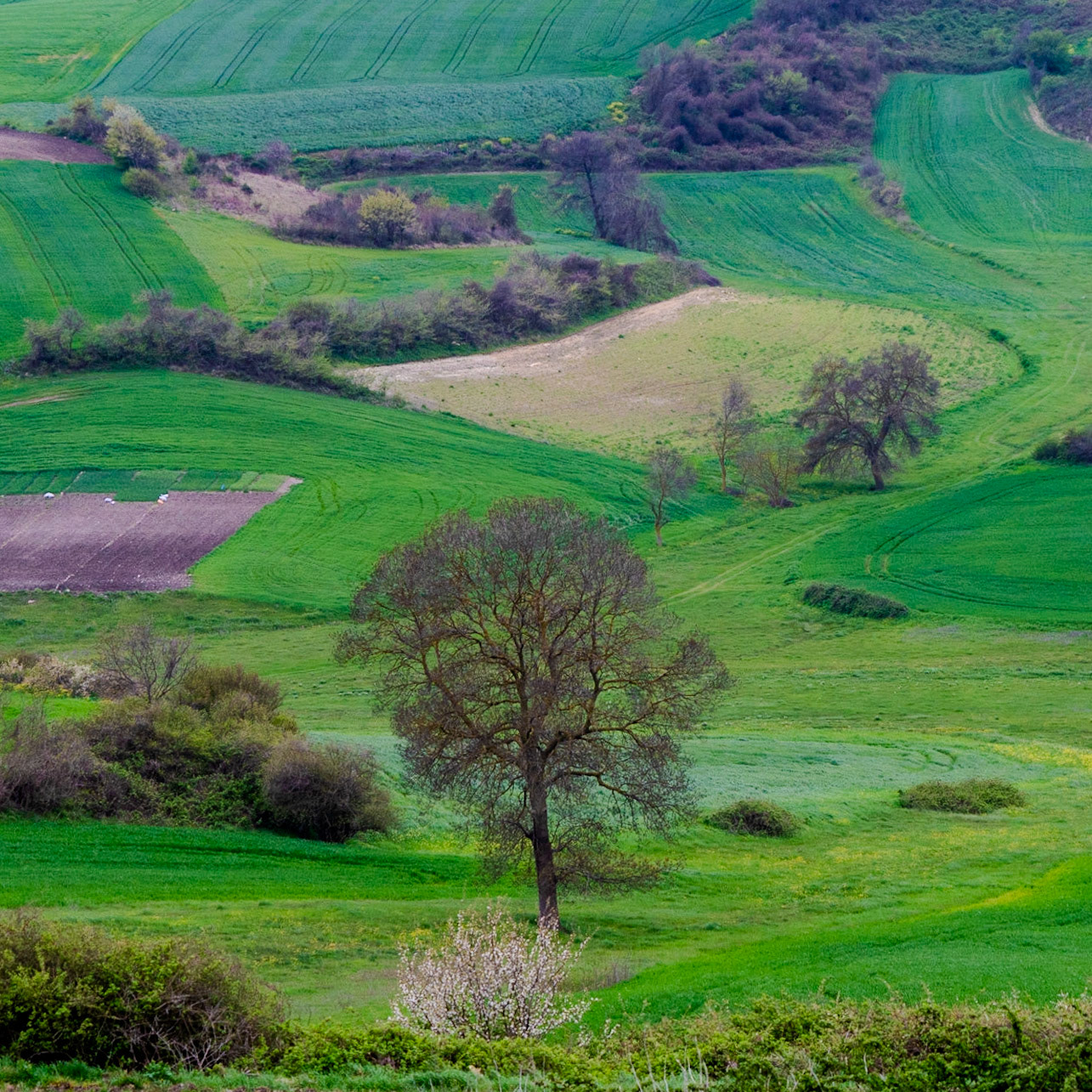 between Baklalı and Germe: landscape (this would all go if Kanal İstanbul were to be built)