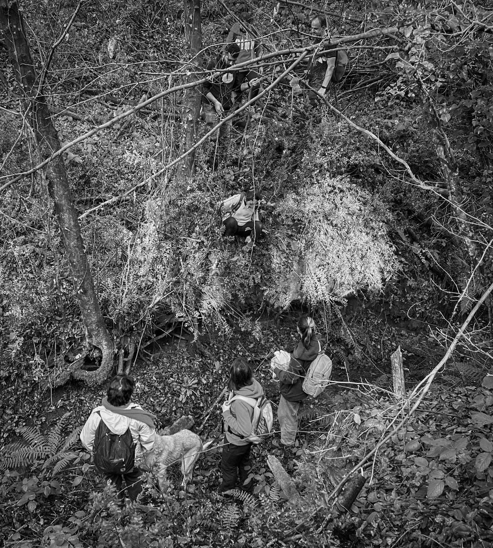 between Kılıçlı and İshaklı: coming into a stream bed