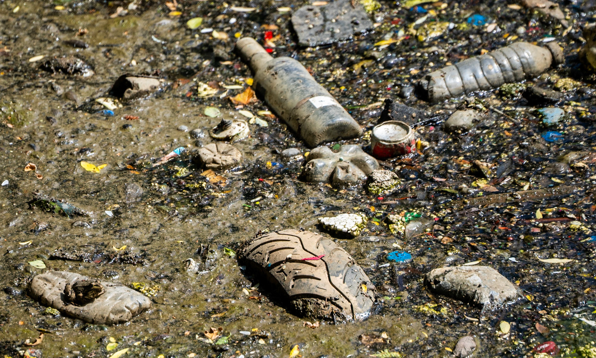 the Değirmendere: appalling flotsam