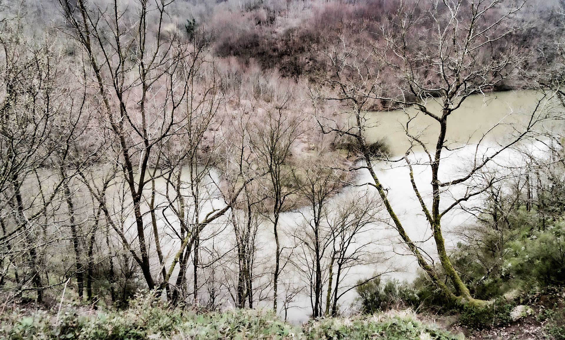 Kozlu reservoir: winter trees