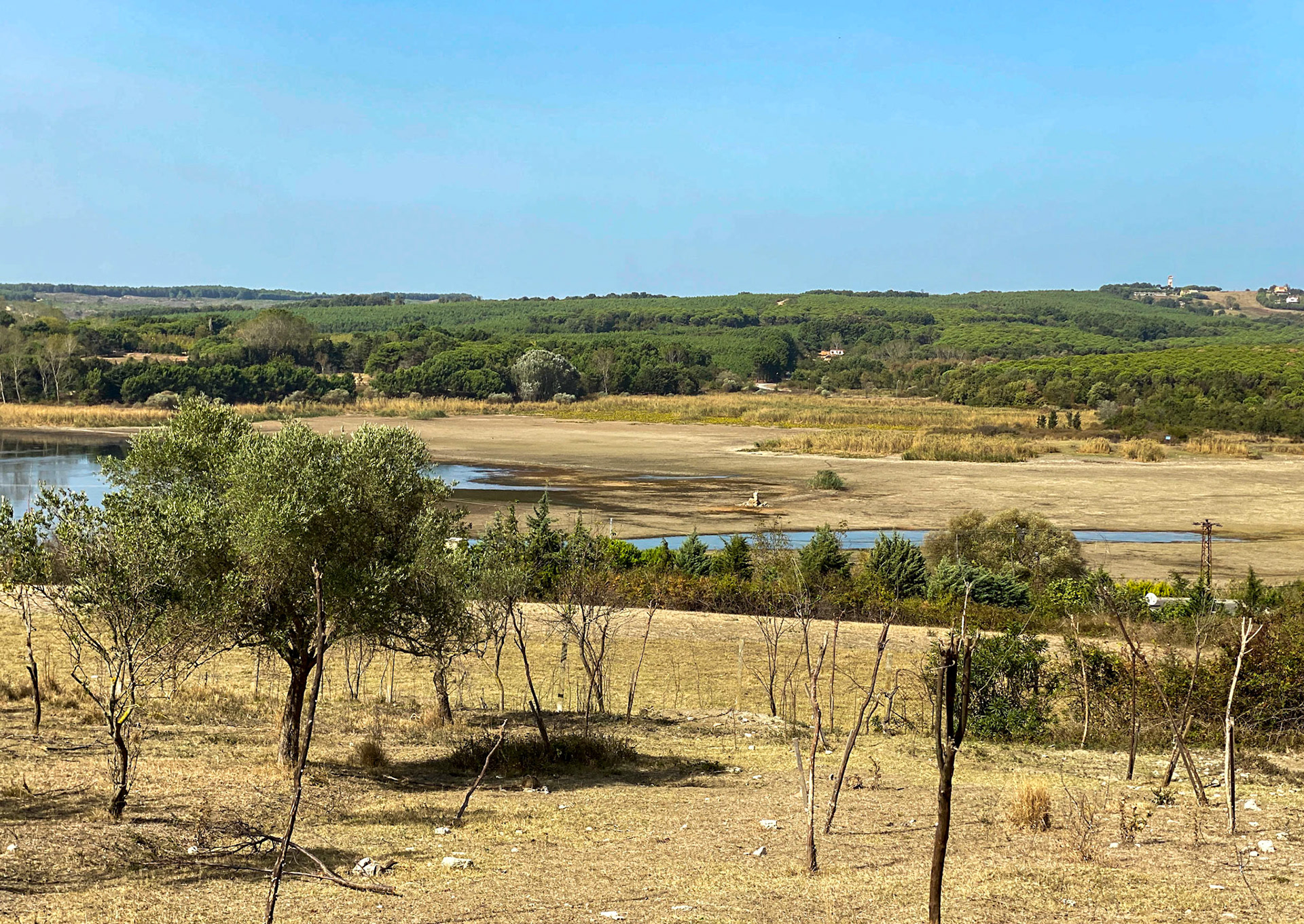 Terkos reservoir: looking north