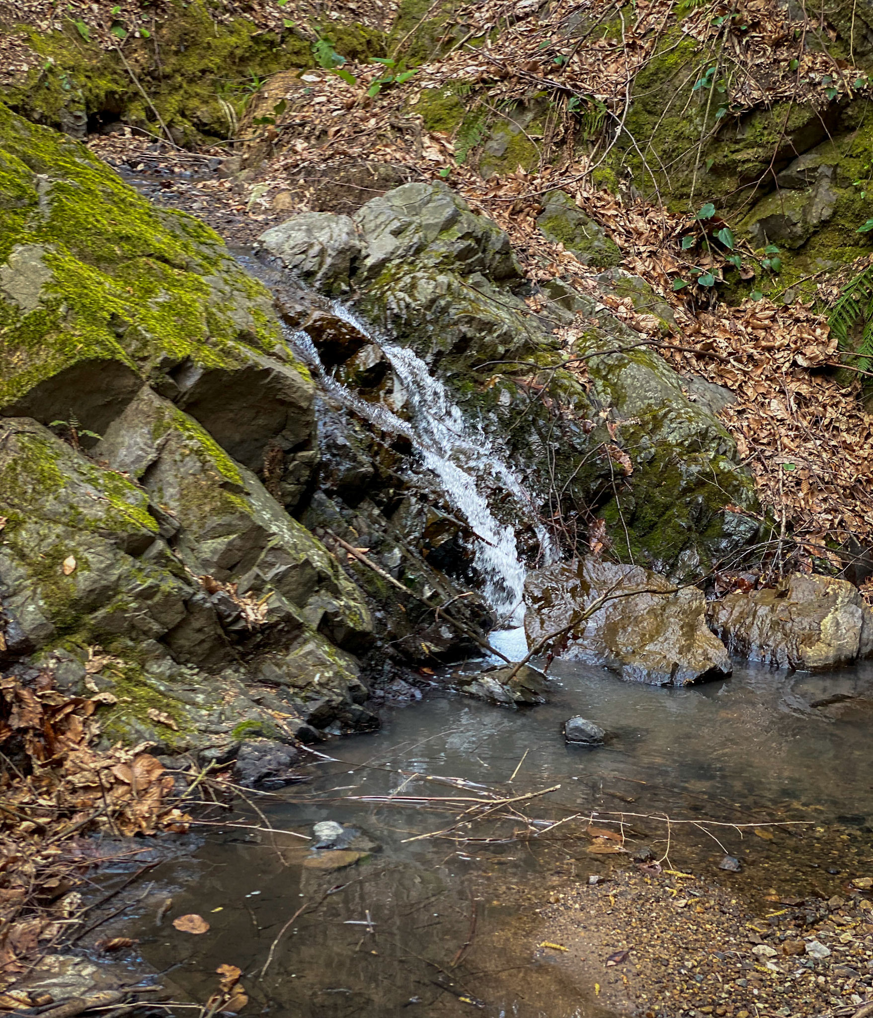 Kozlu stream valley: a small waterfall