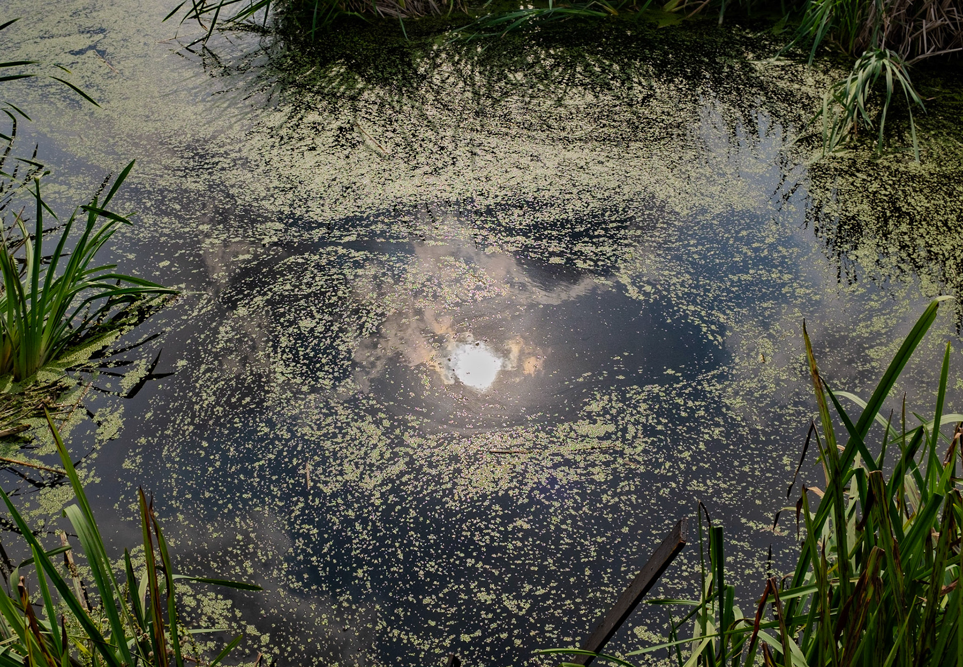Şahintepe: the sun reflected in the canalised Sazlıdere