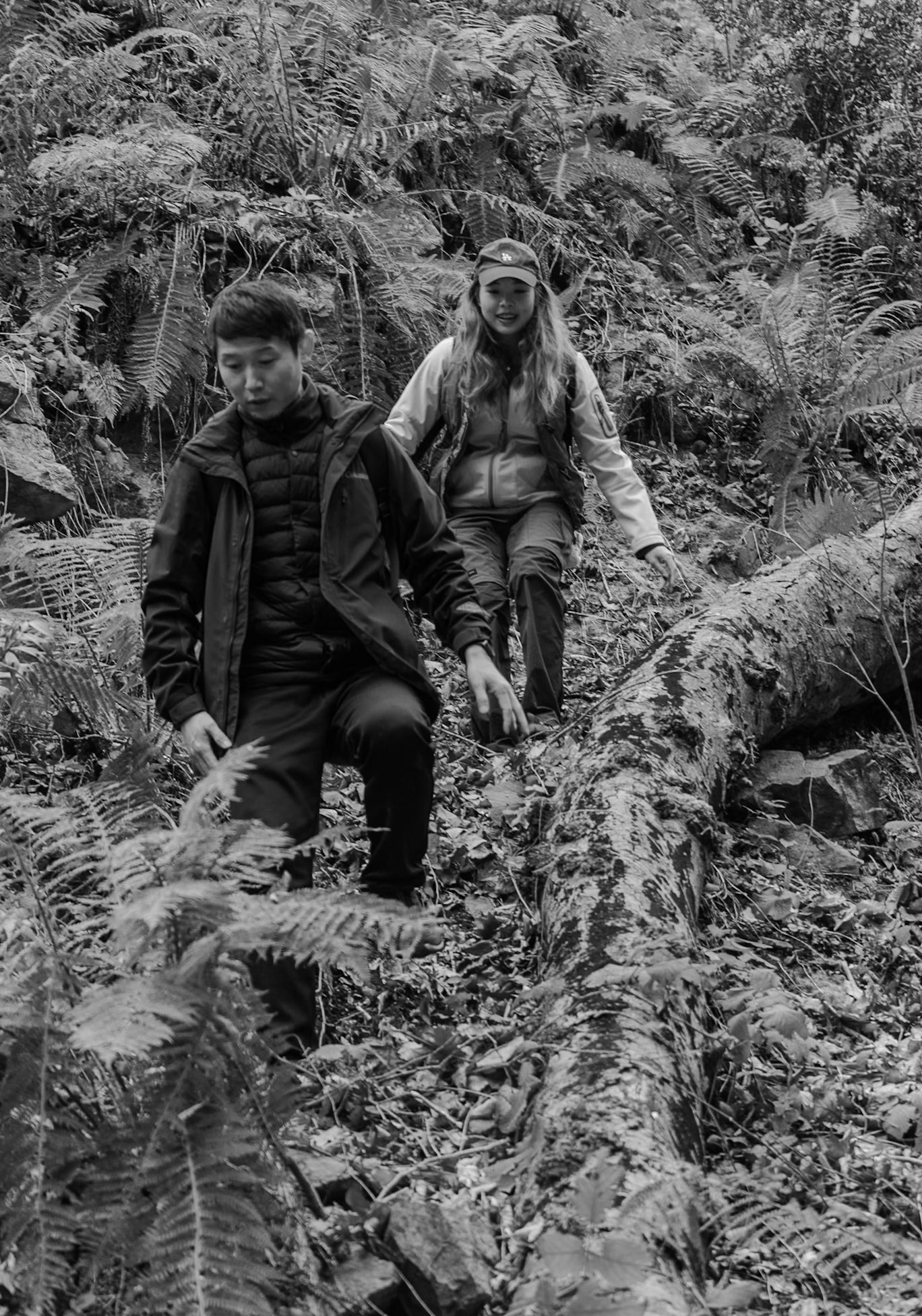 Dolap stream descent: using a fallen tree as a hold