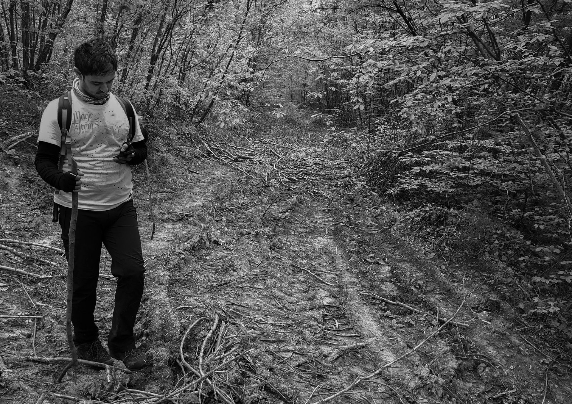 east of İshaklıköy: brushy track