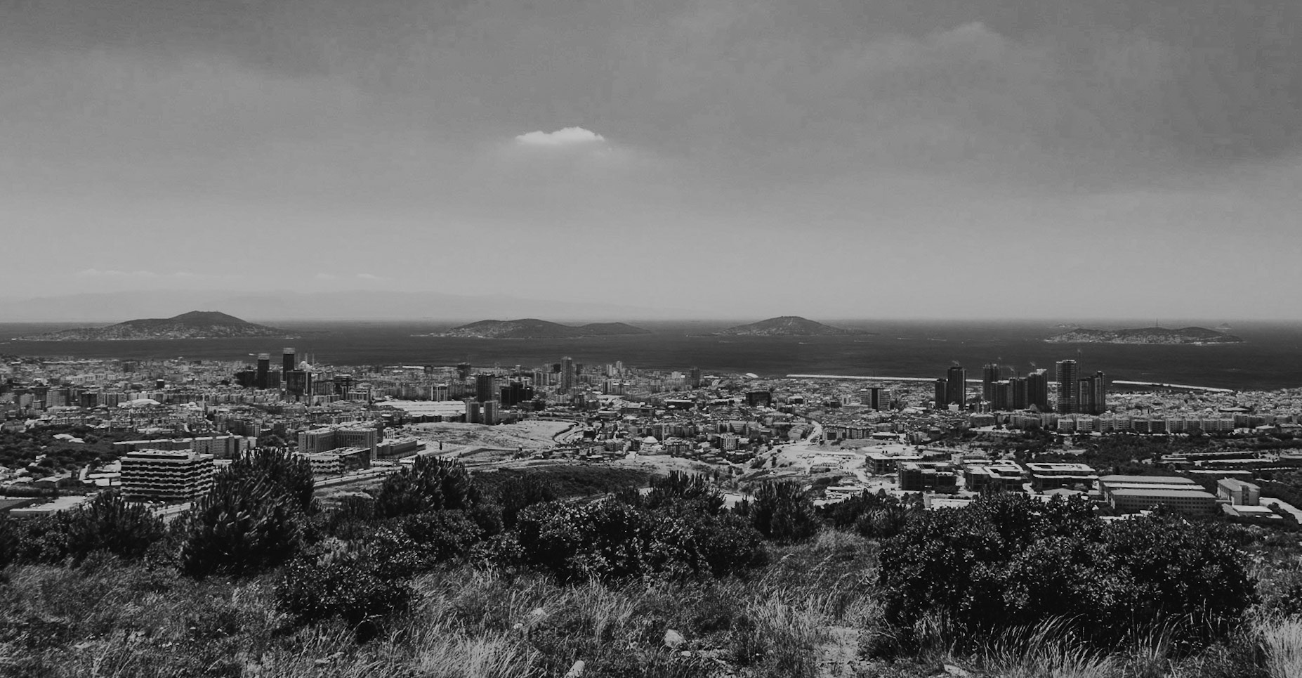 Tekkebayırı tepesi: view south towards the Prince Islands