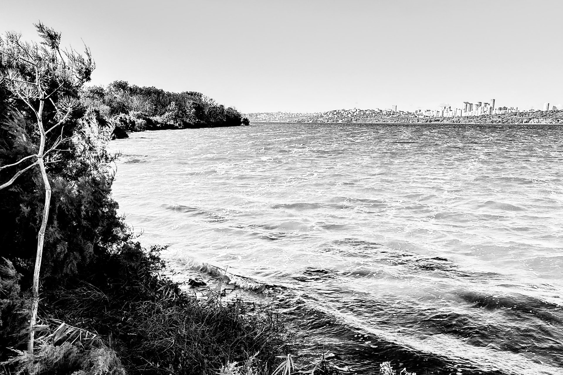 Bathonea south: lakeside view north