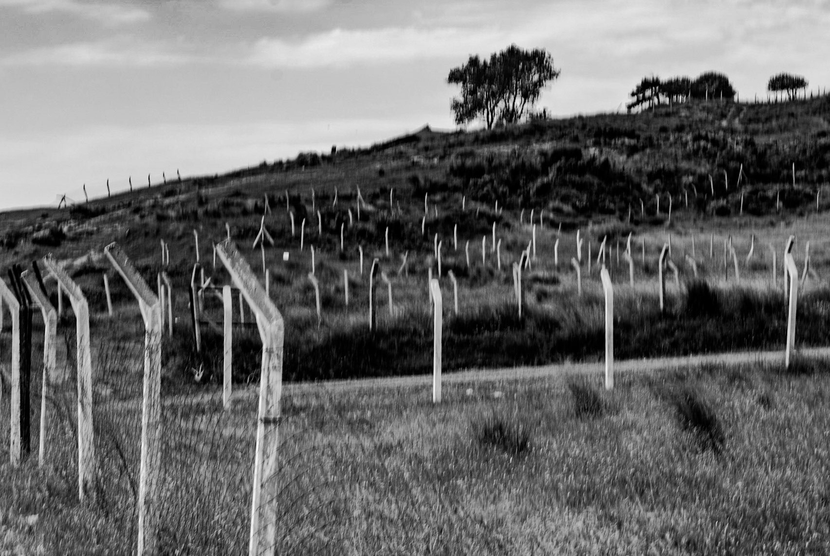 Yeniköy: land for sale - demarcation