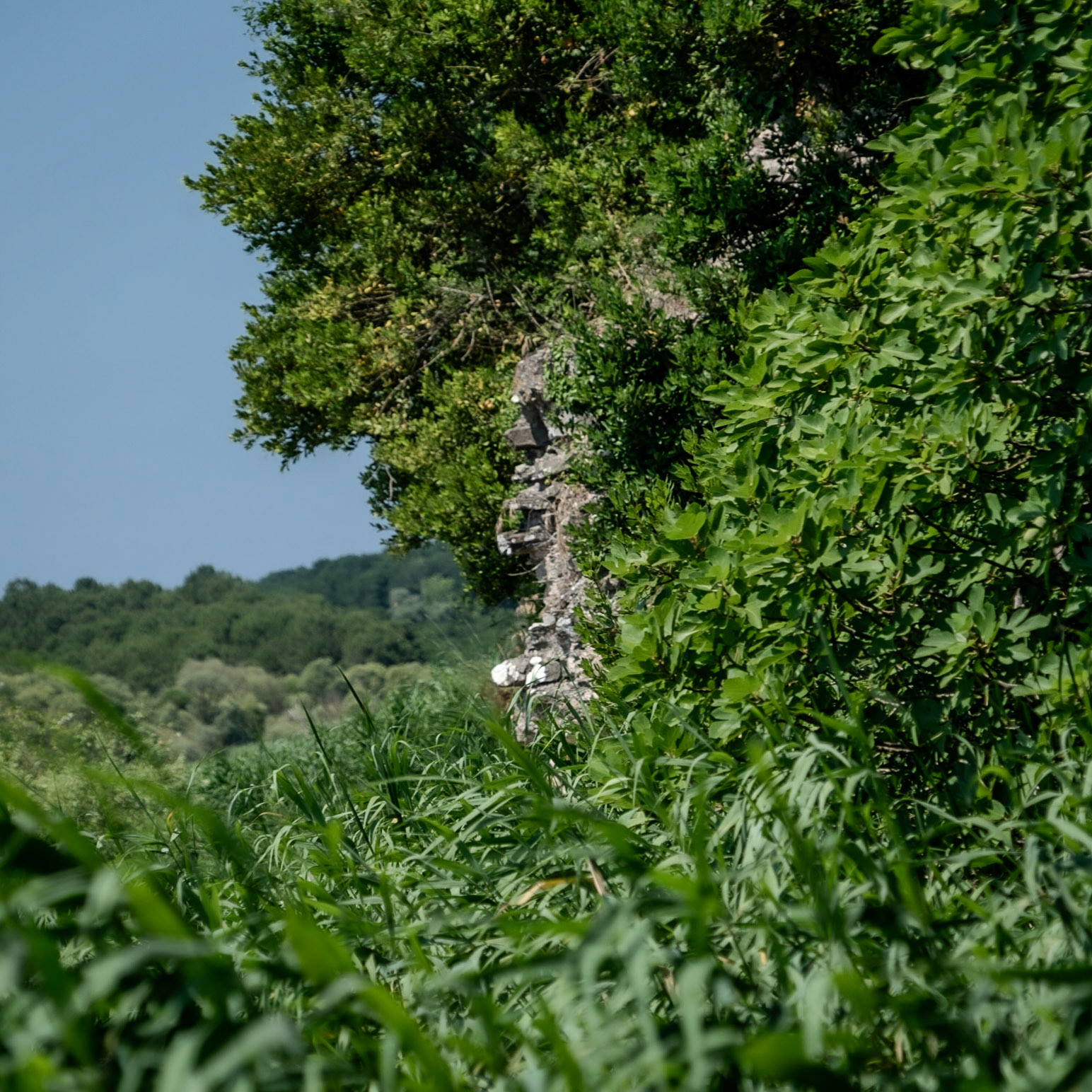 Trikos fort: old wall