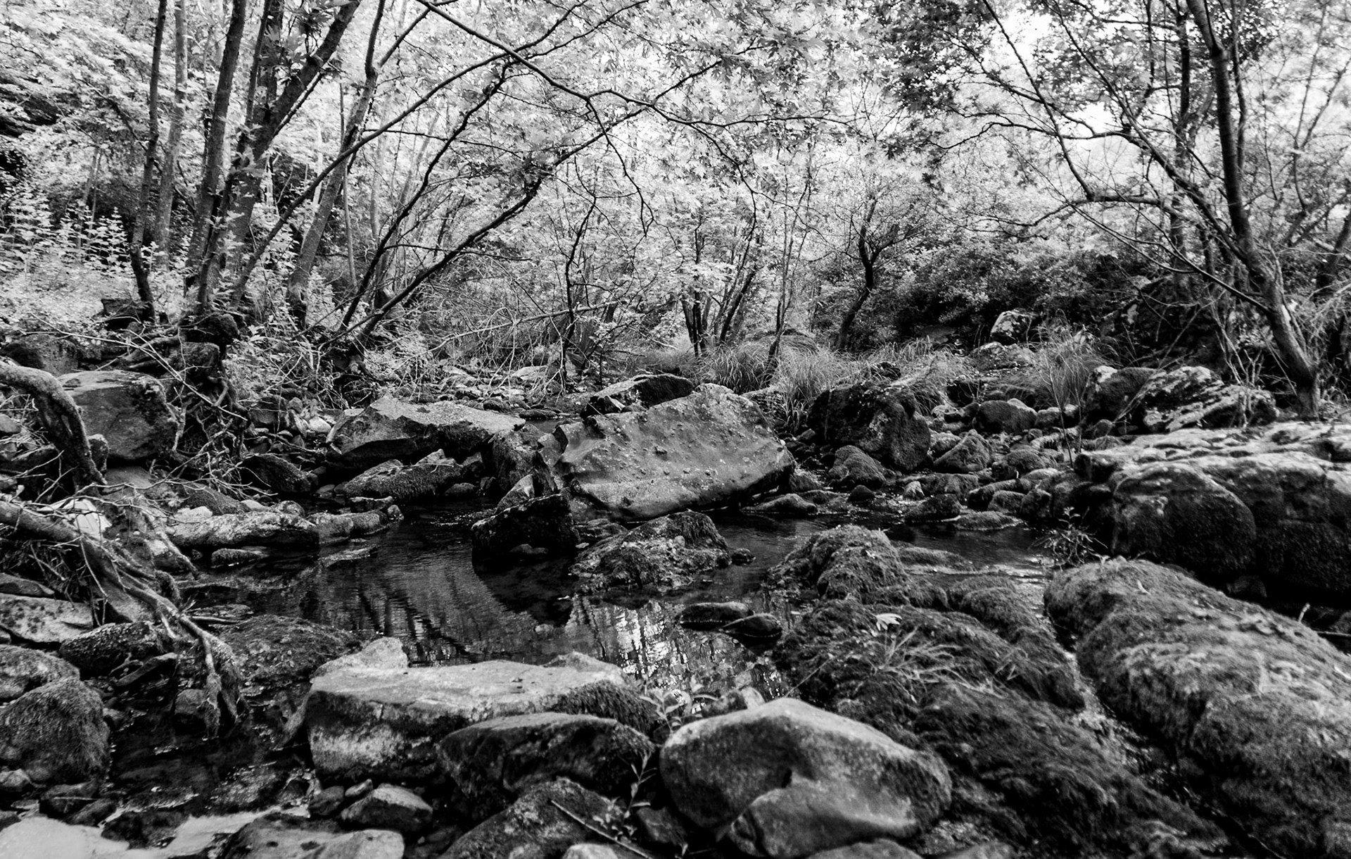 Sığırlık stream: view