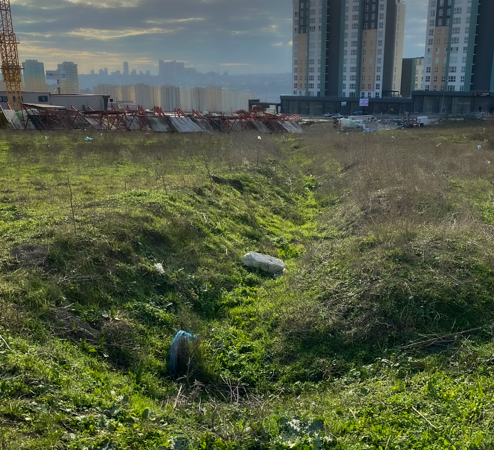 east Spradon: ancient ditch