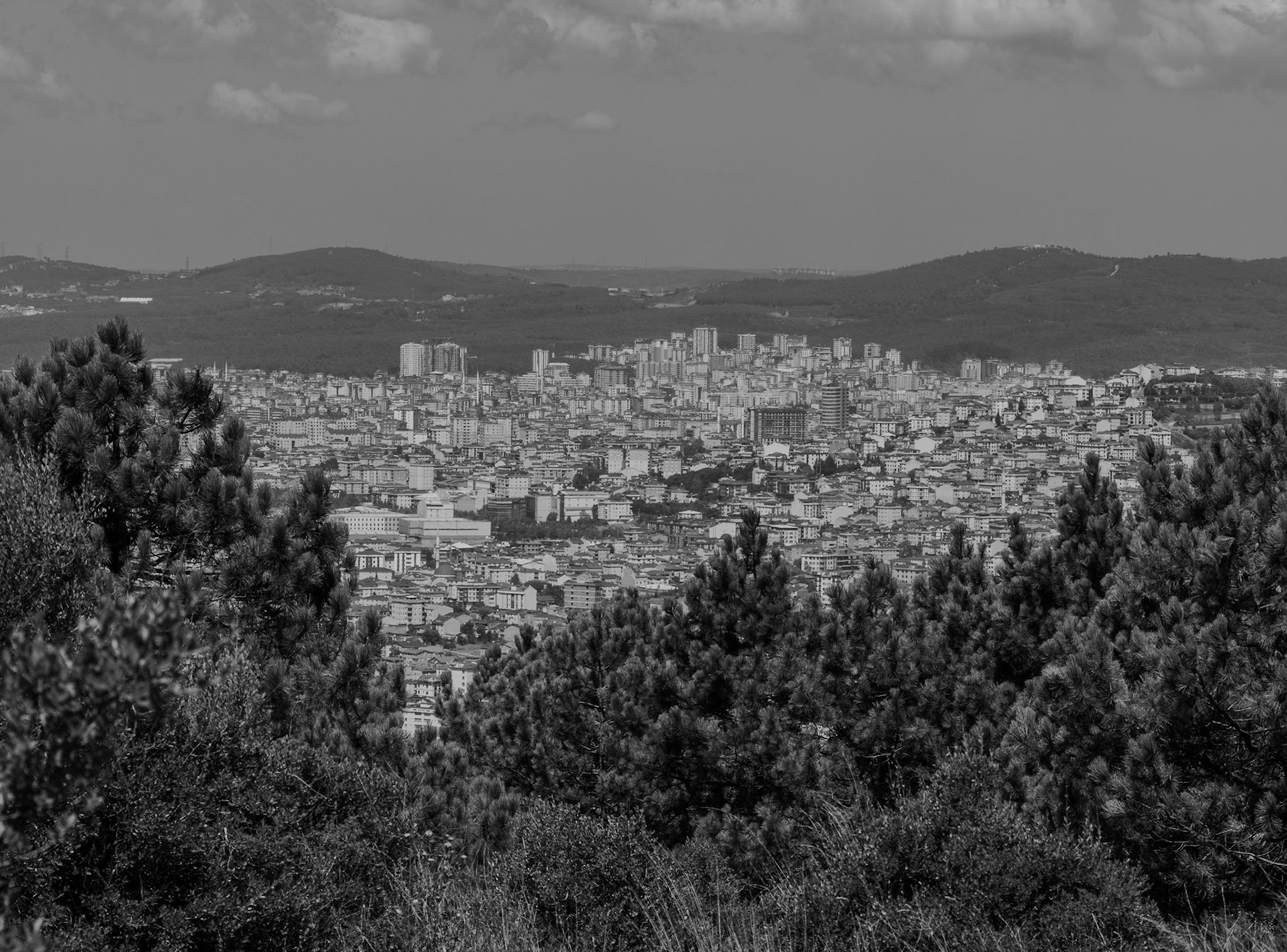 Zirve hills and viewpoints: the city through the trees