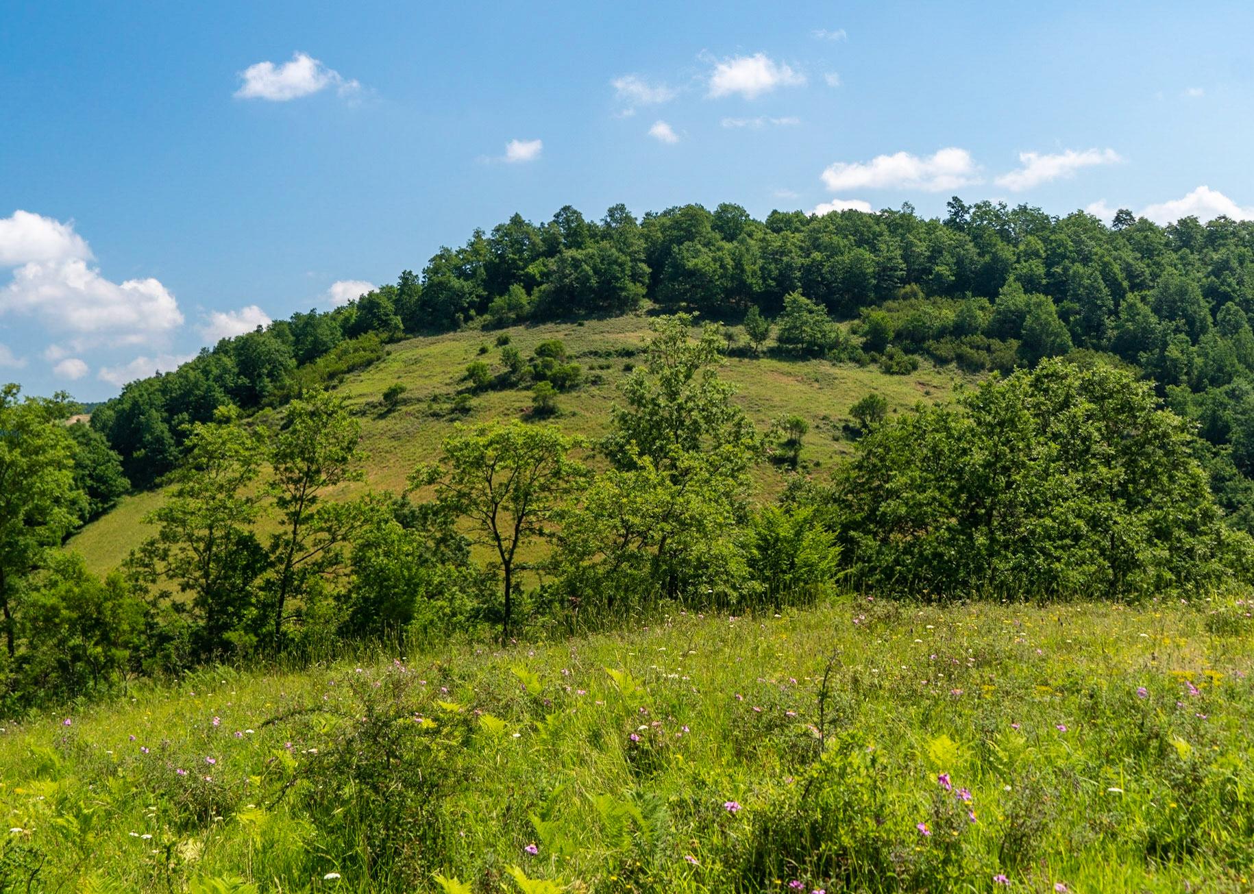 Sarıkavak hill: landscape: