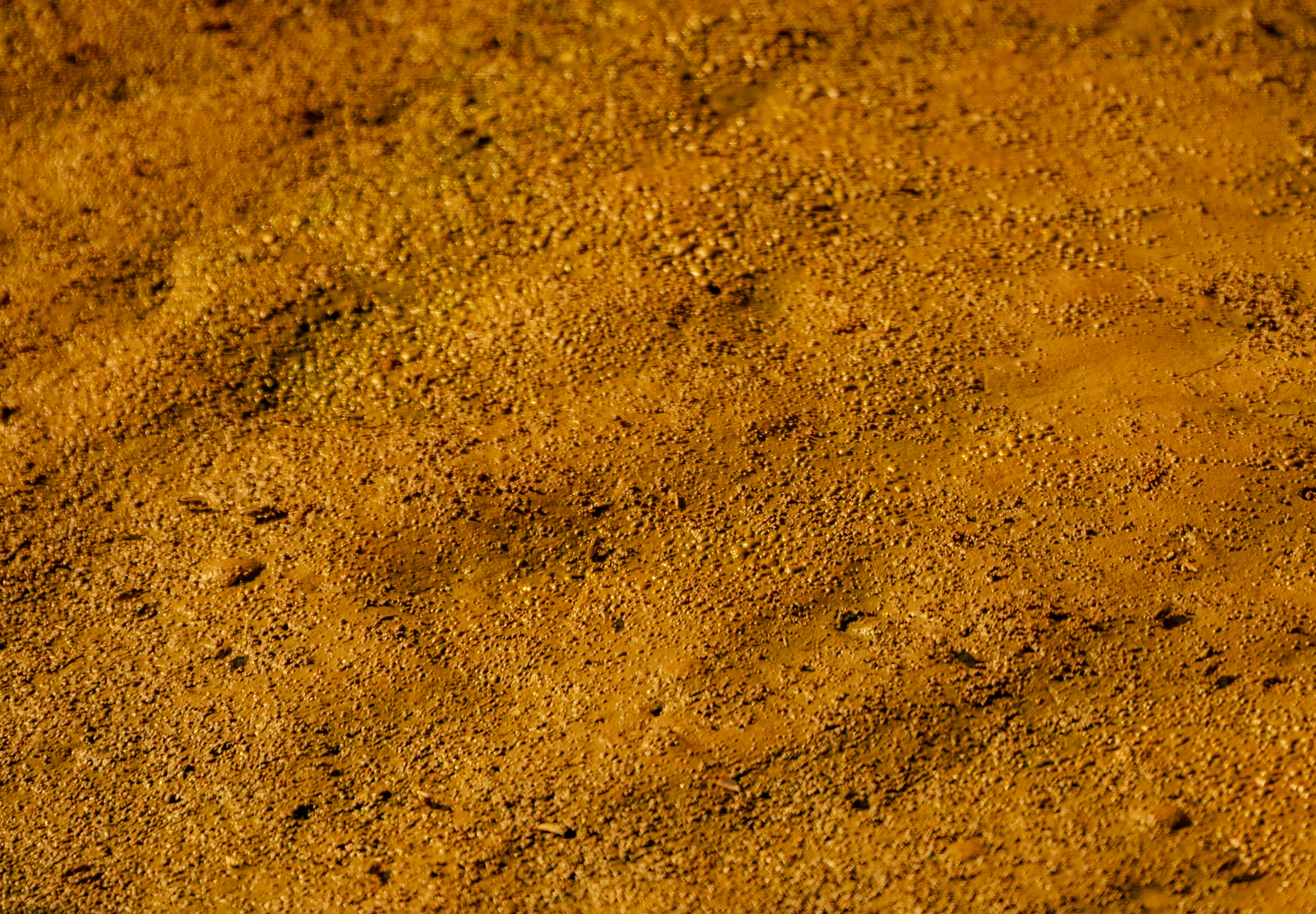 Paşaköy gorge: wet mud
