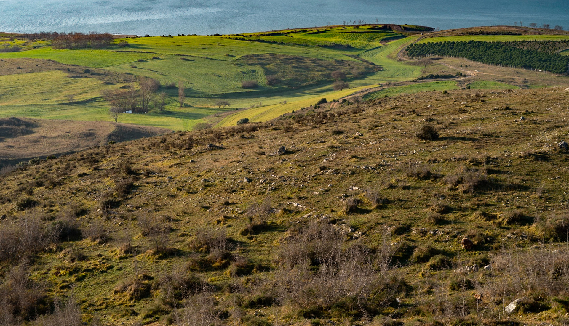 Kocabayır Hill - early morning recce: view west