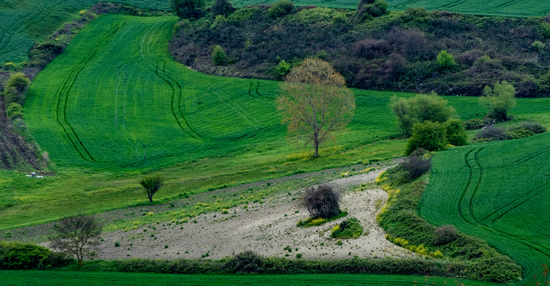 between Baklali and Germe: green pasture