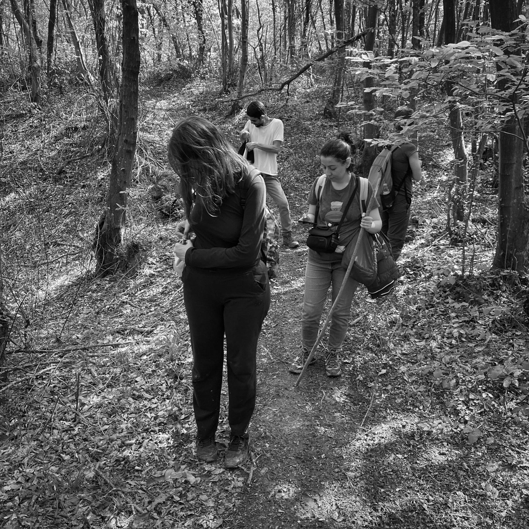 Polonezköy SW forest: checking things