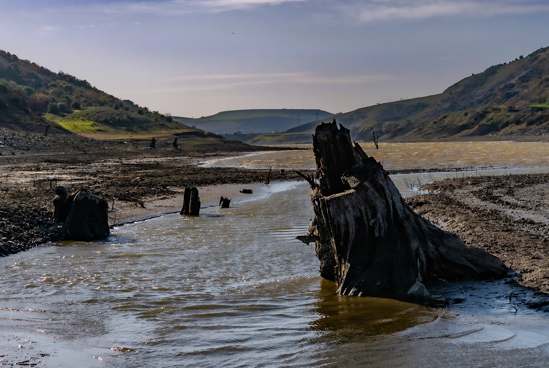Şamlar gorge: tree-stump (usually submerged)