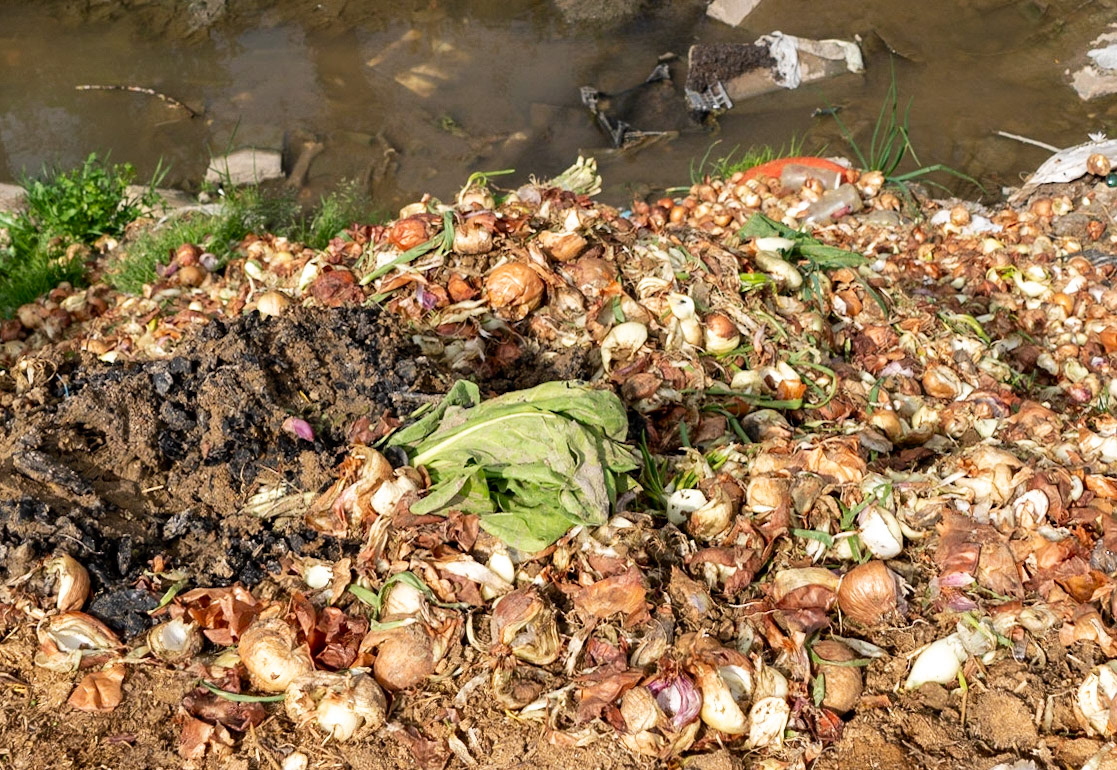 onions dumped onto a riverbank