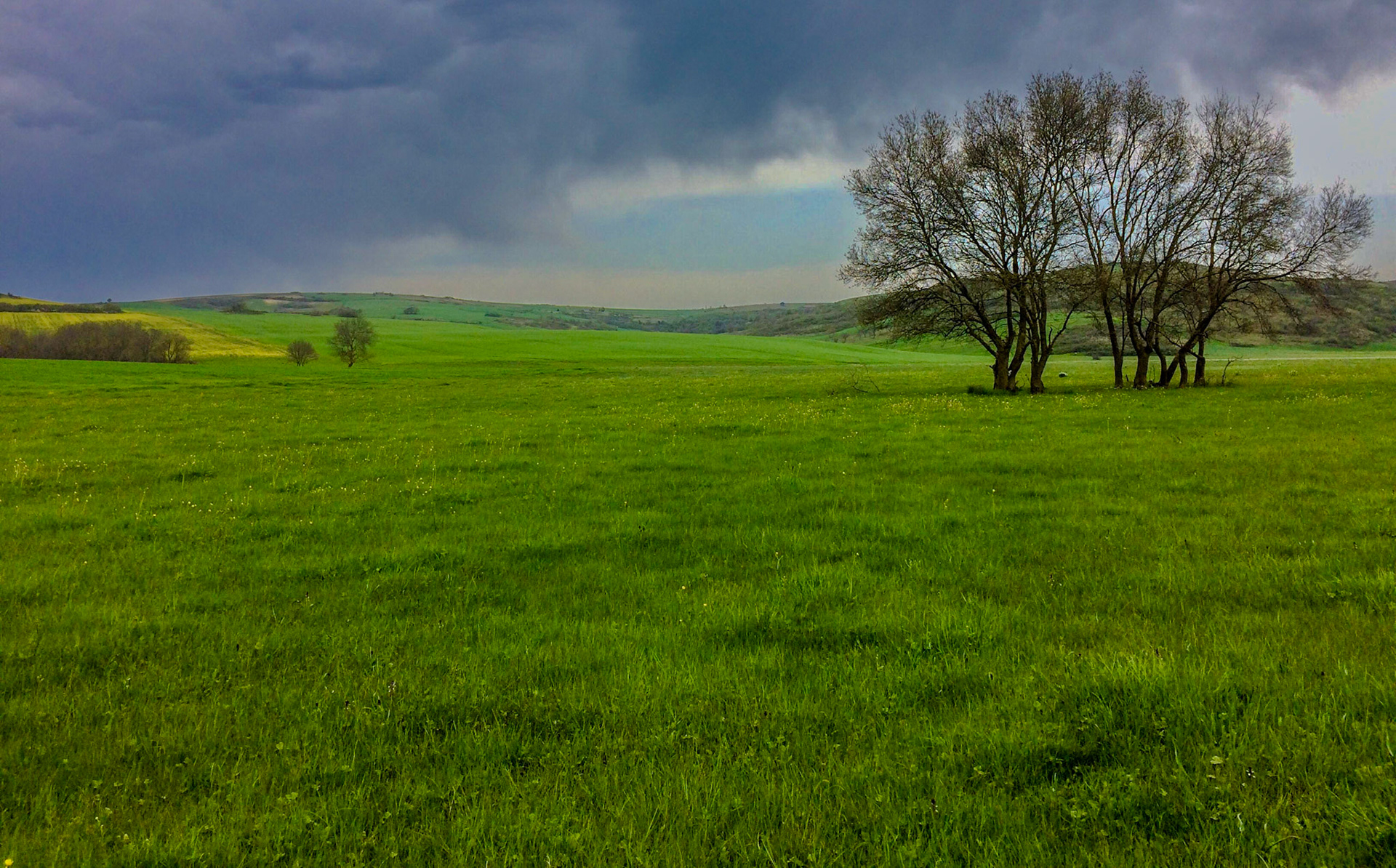 in the shallow Sazlıdere valley between Baklalı and Dursunköy: landscape