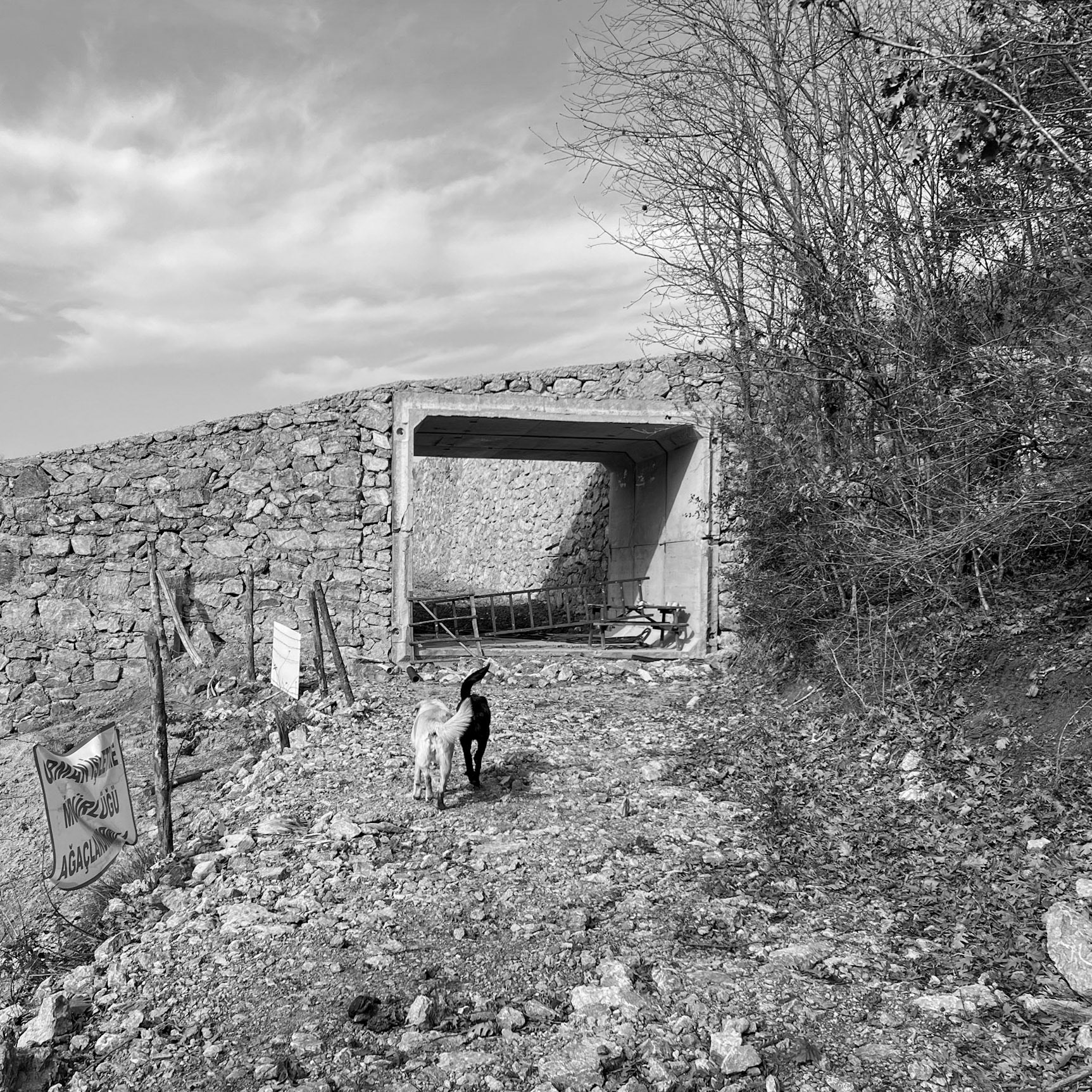 between Yom crest and Riva abandoned military installations: the new terraces