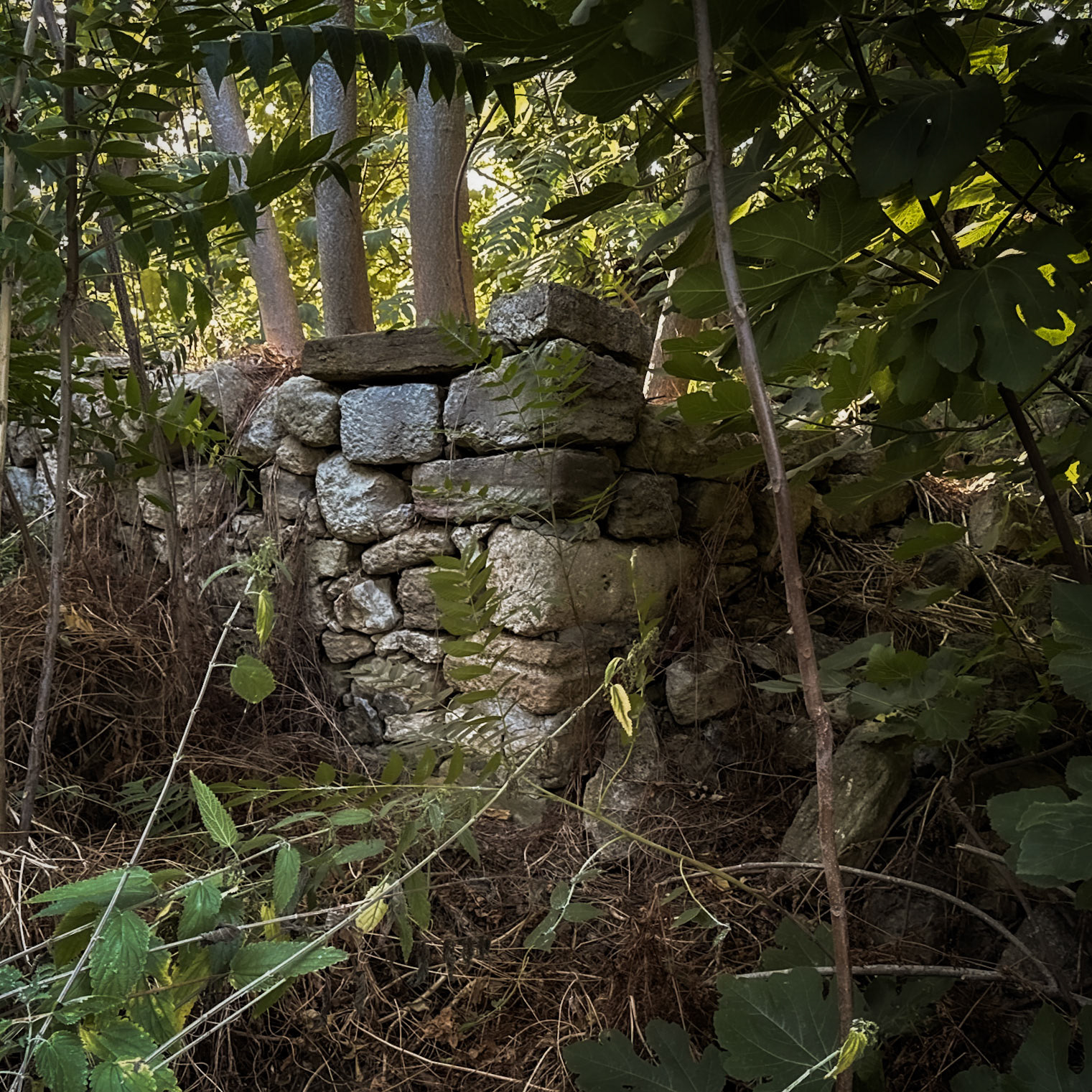 Bathonea mid: Roman or Byzantine wall fragment