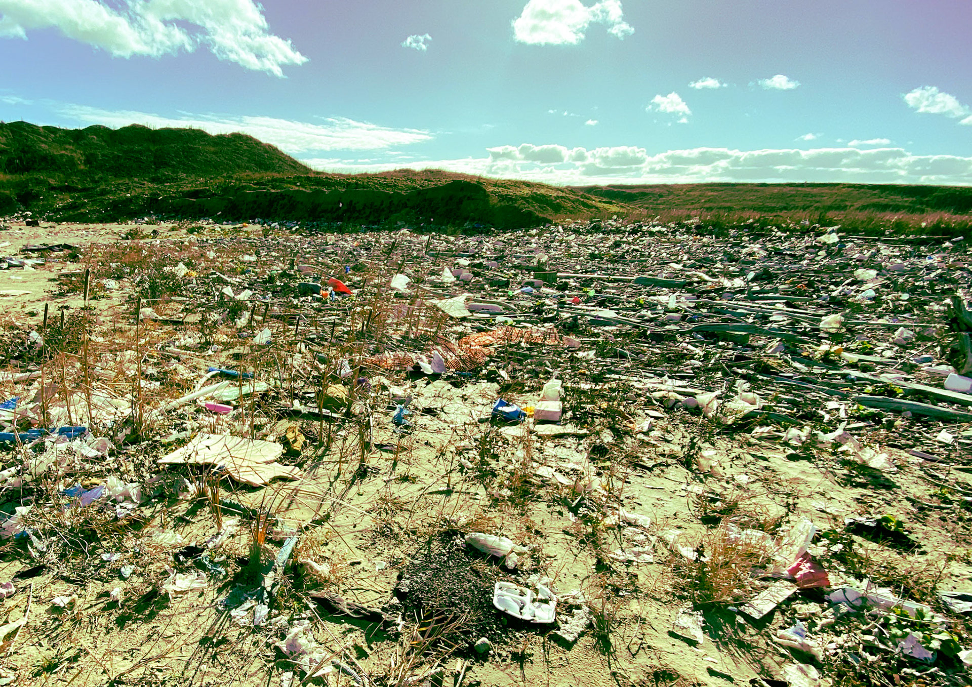 Black Sea coast east of Yeniköy: tons of flotsam