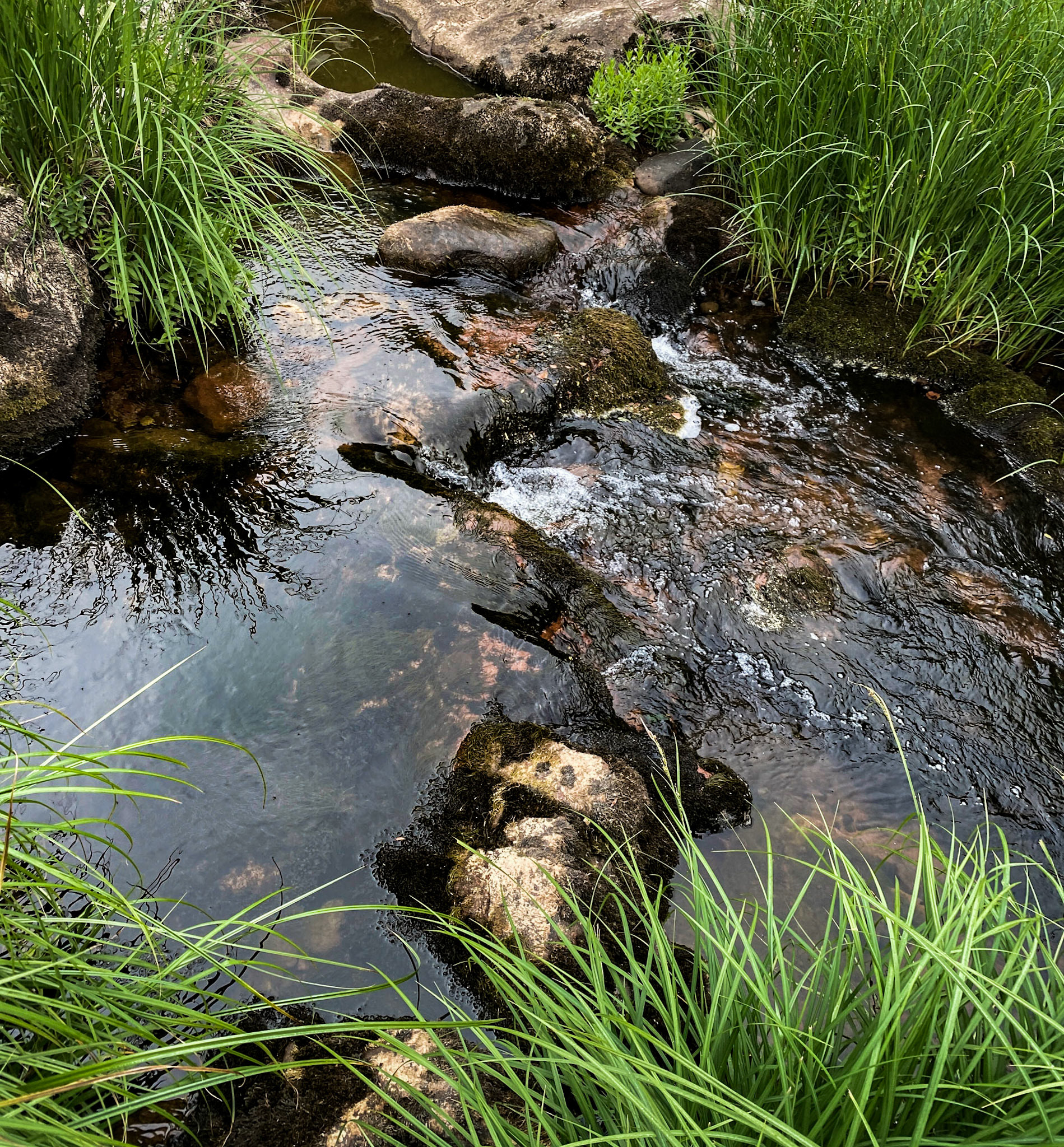 Sığırlık gorge: stream crossing (one of many)