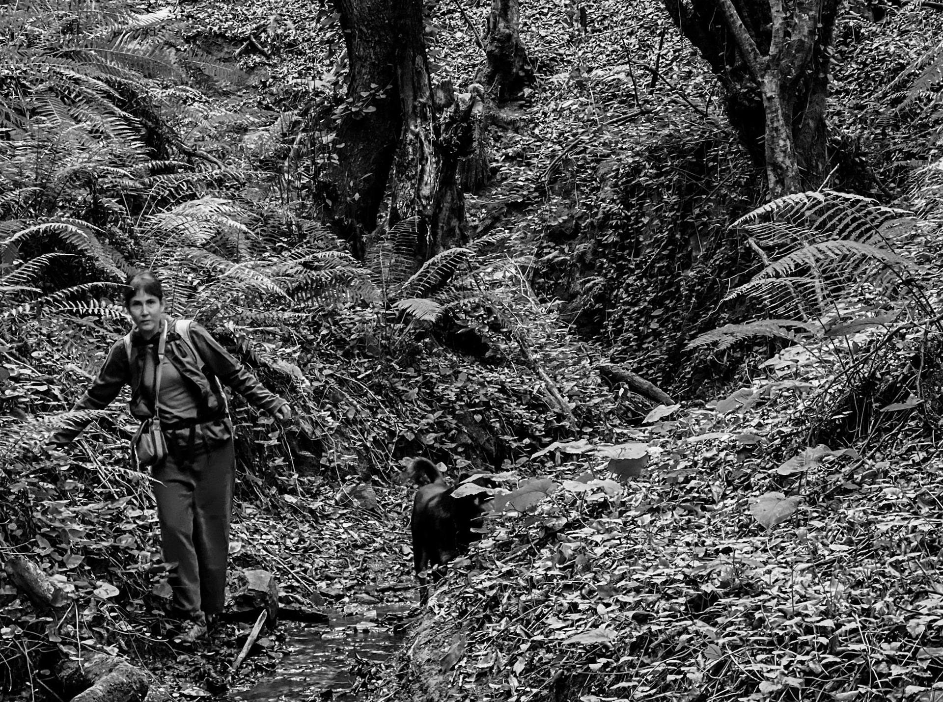 Zerzevat east streamwalk: Tasha and daydog