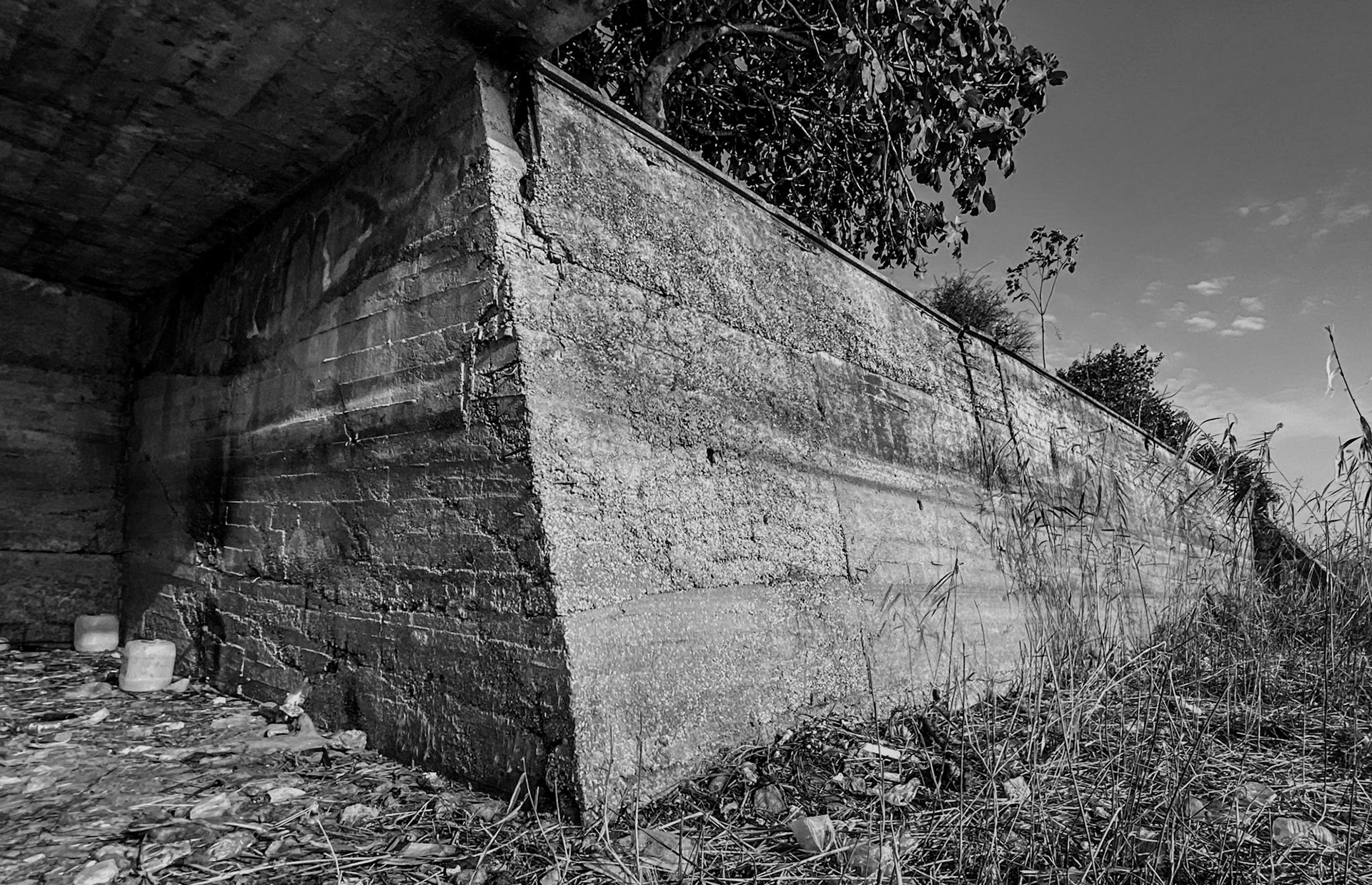Trikos mudflats: lakeside wall of an abandoned house