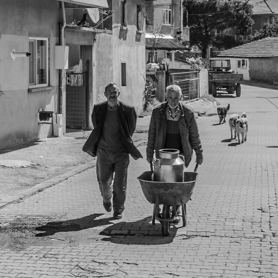 Yeniköy: wheeling the churn