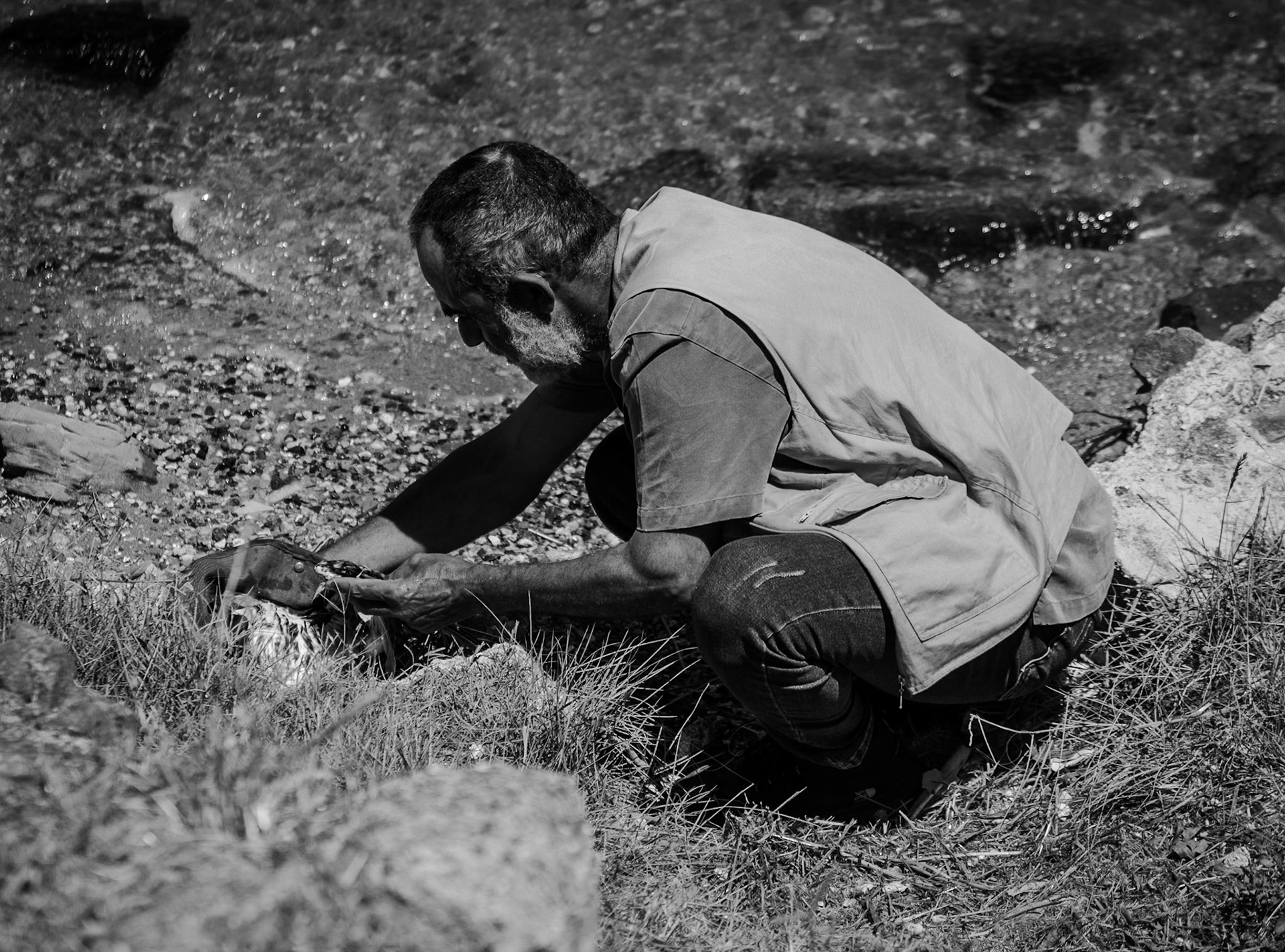 Küçükçekmece lake: a fisherman untangling a gull tangled in a fishing line